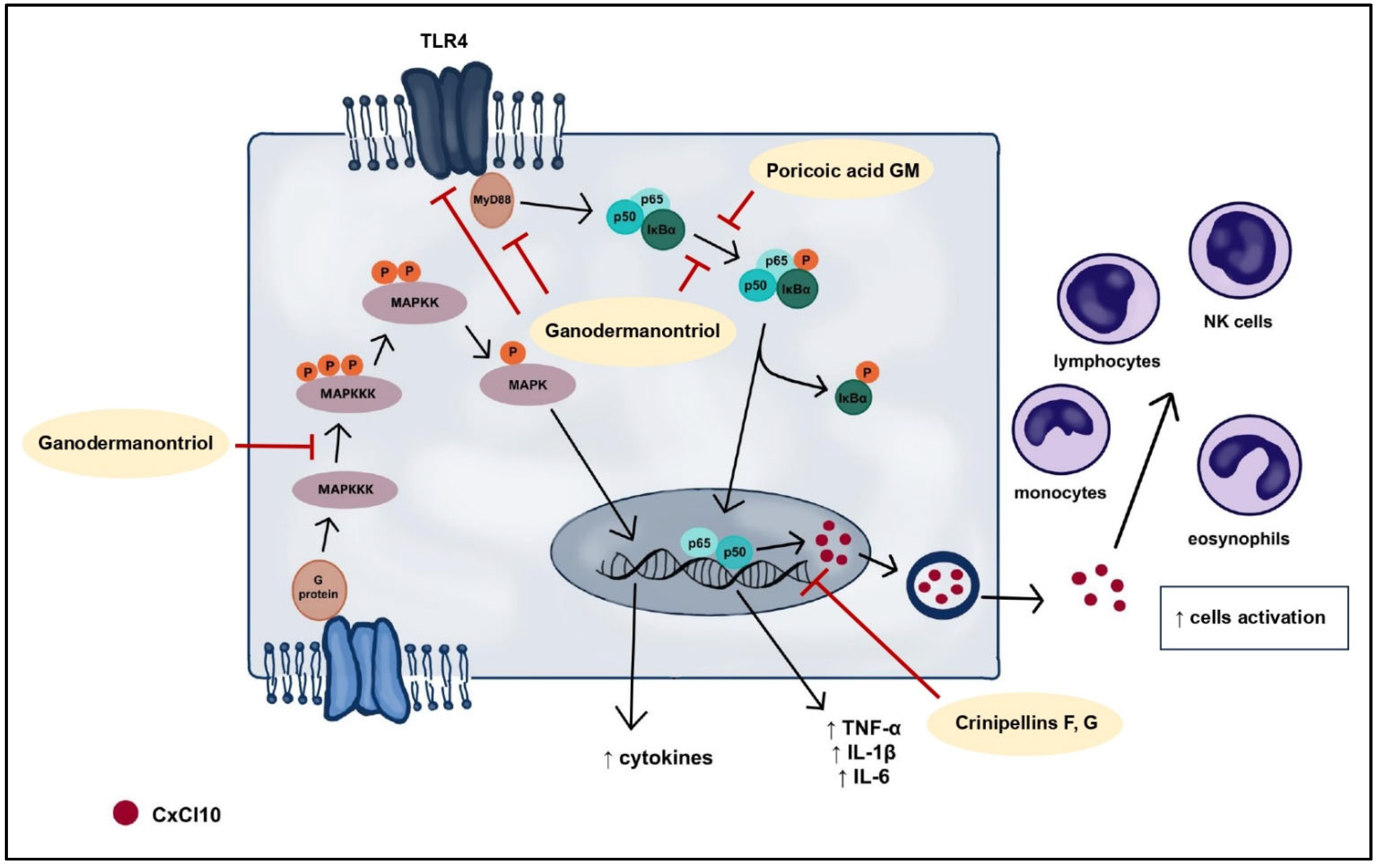 Molecules 29 01183 g005