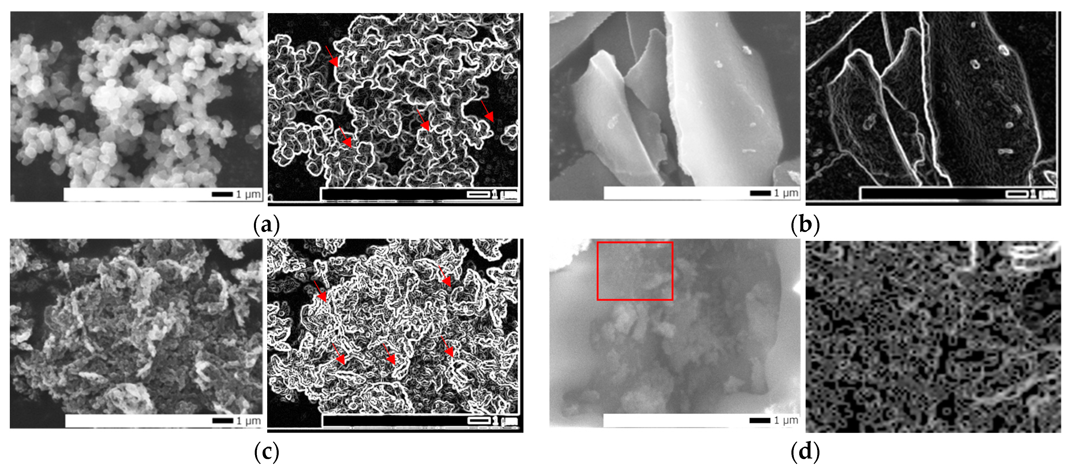 Molecules 29 01197 g003a