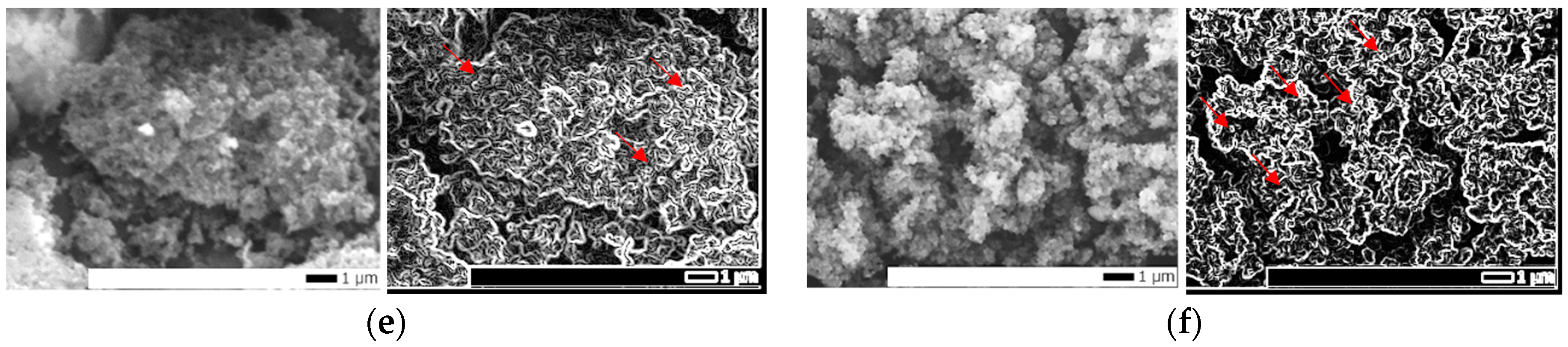 Molecules 29 01197 g003b