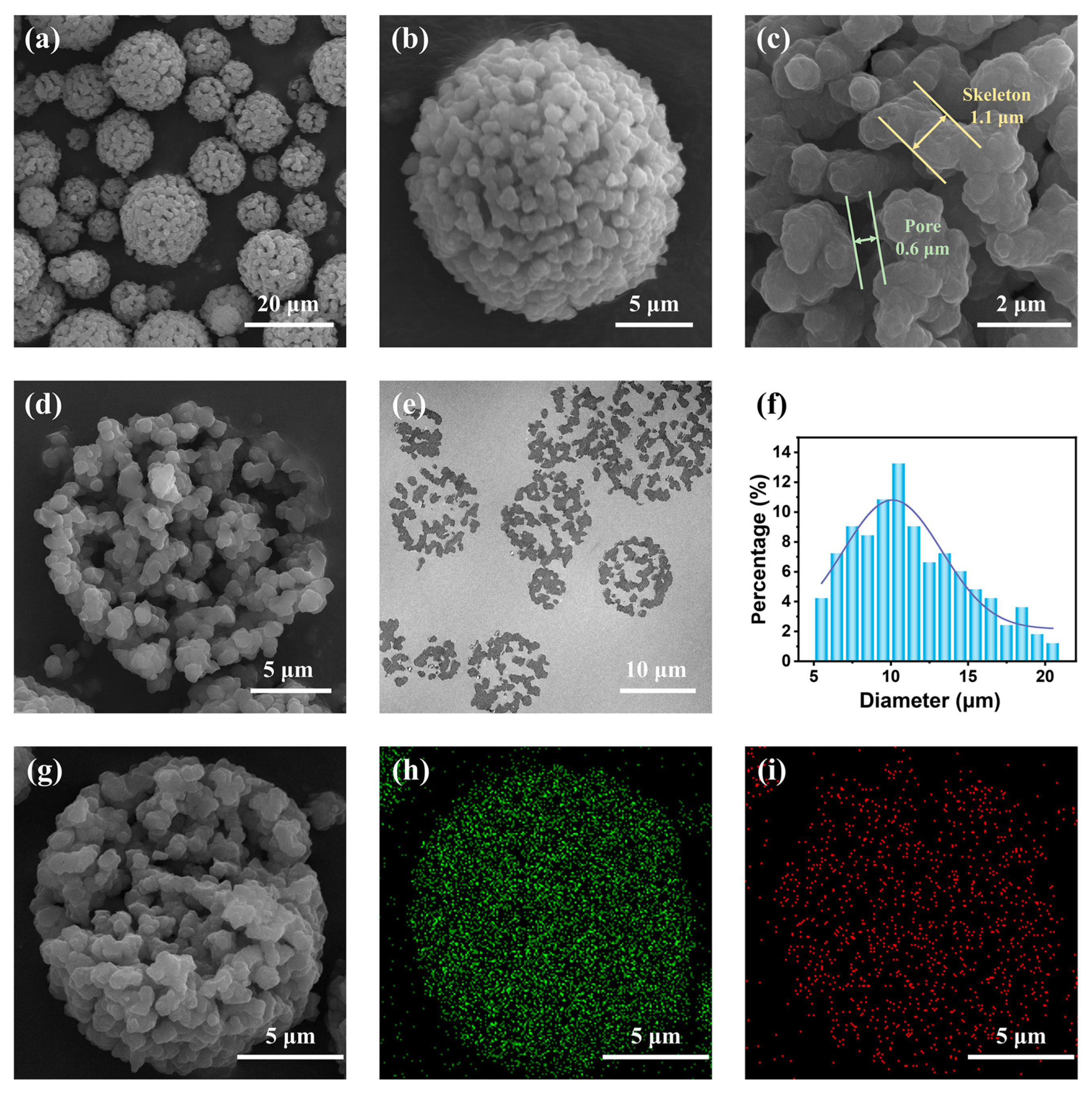Molecules 29 01204 g002
