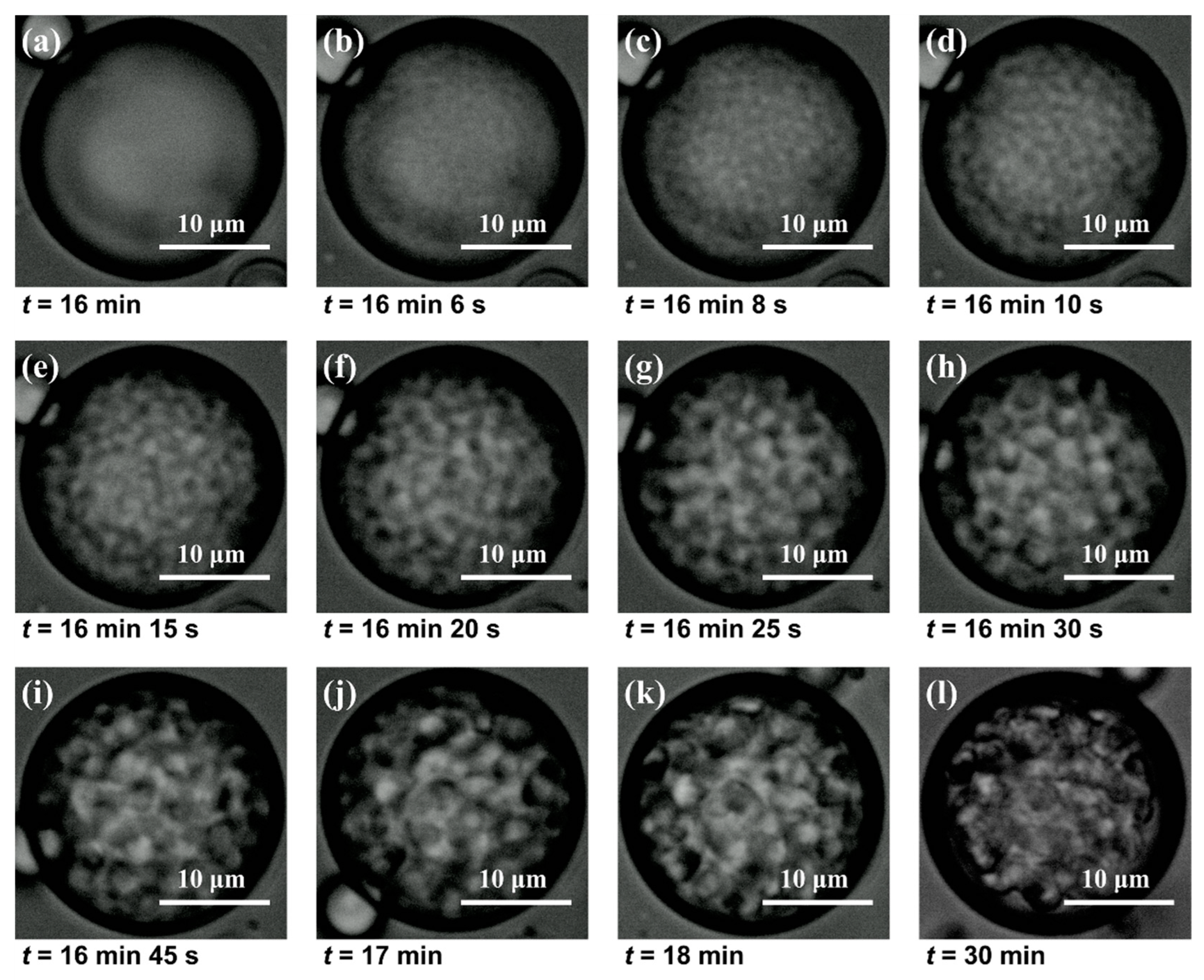 Molecules 29 01204 g007