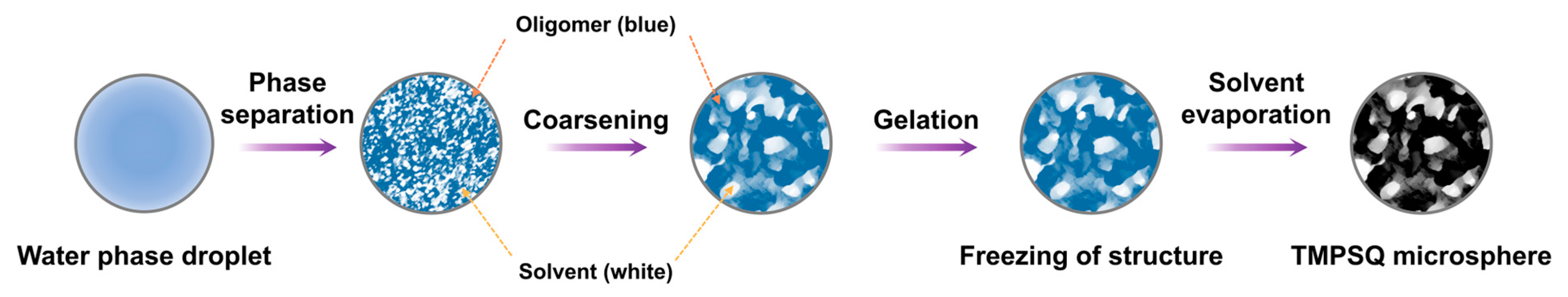 Molecules 29 01204 g008