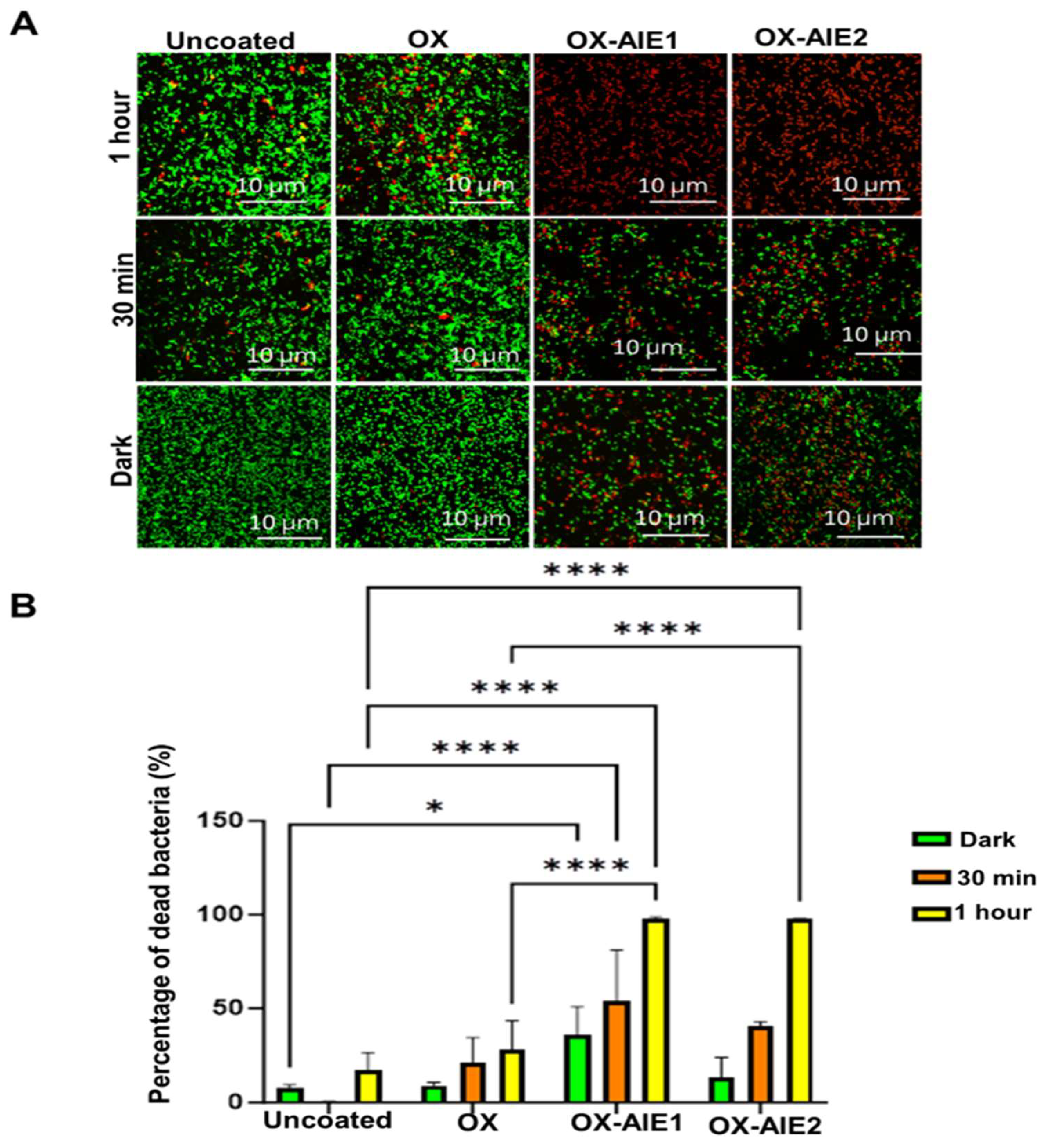 Molecules 29 01209 g002