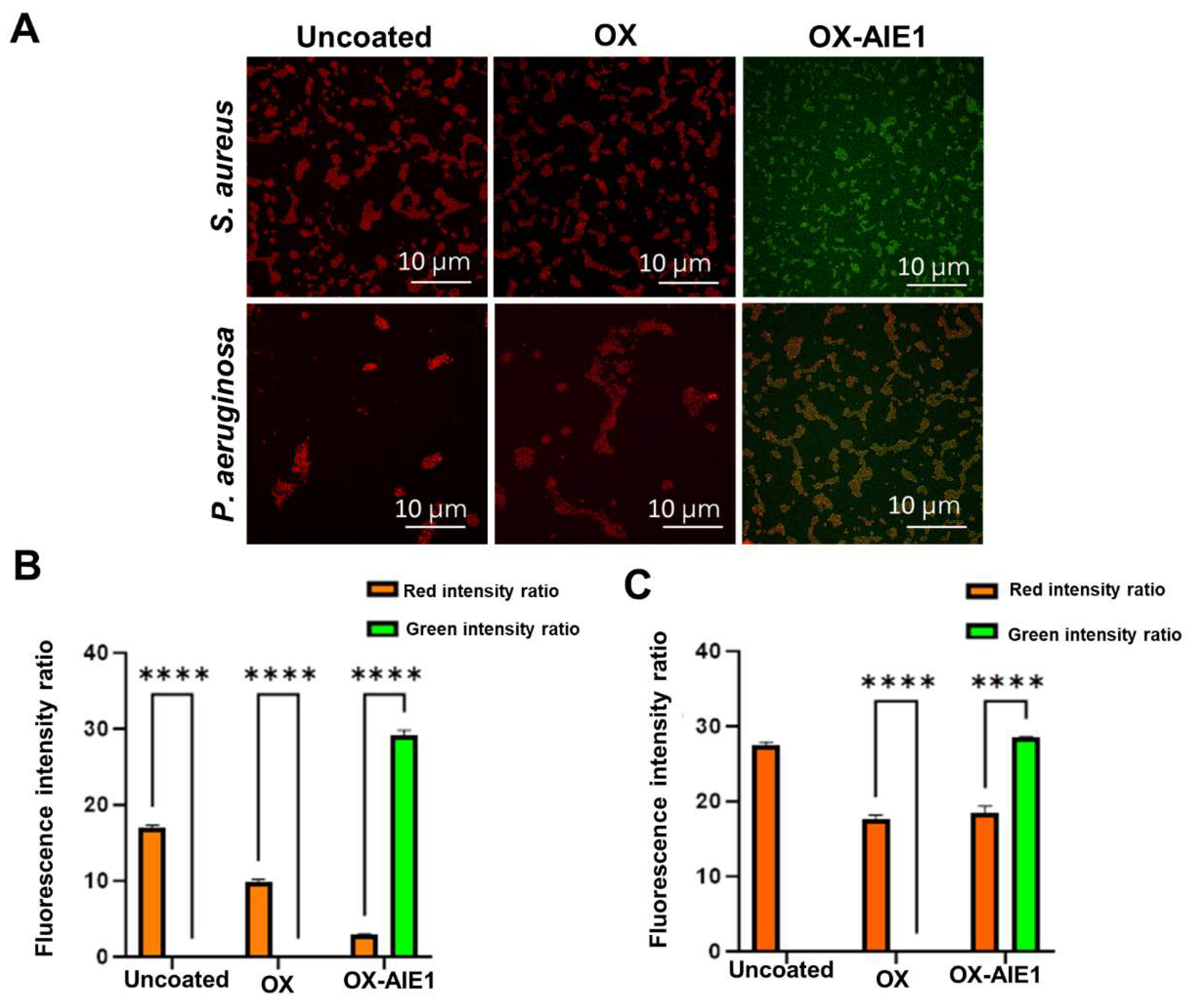 Molecules 29 01209 g005
