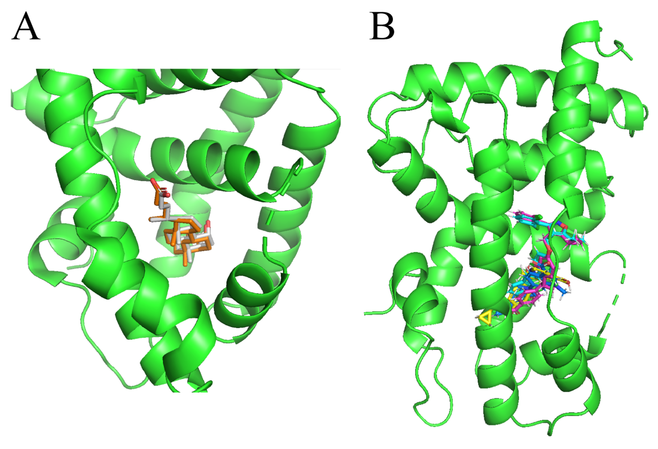 Molecules 29 01210 g005