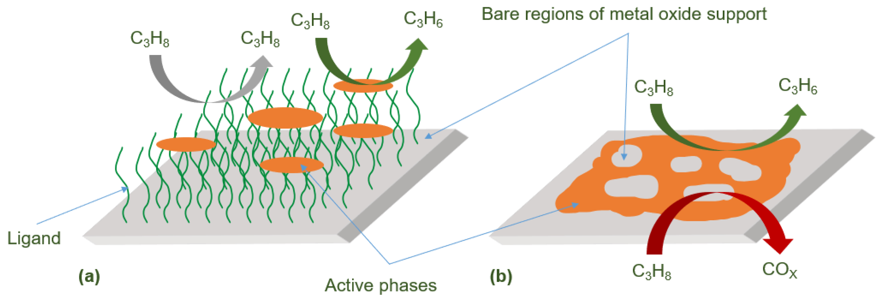 Molecules 29 01212 g003