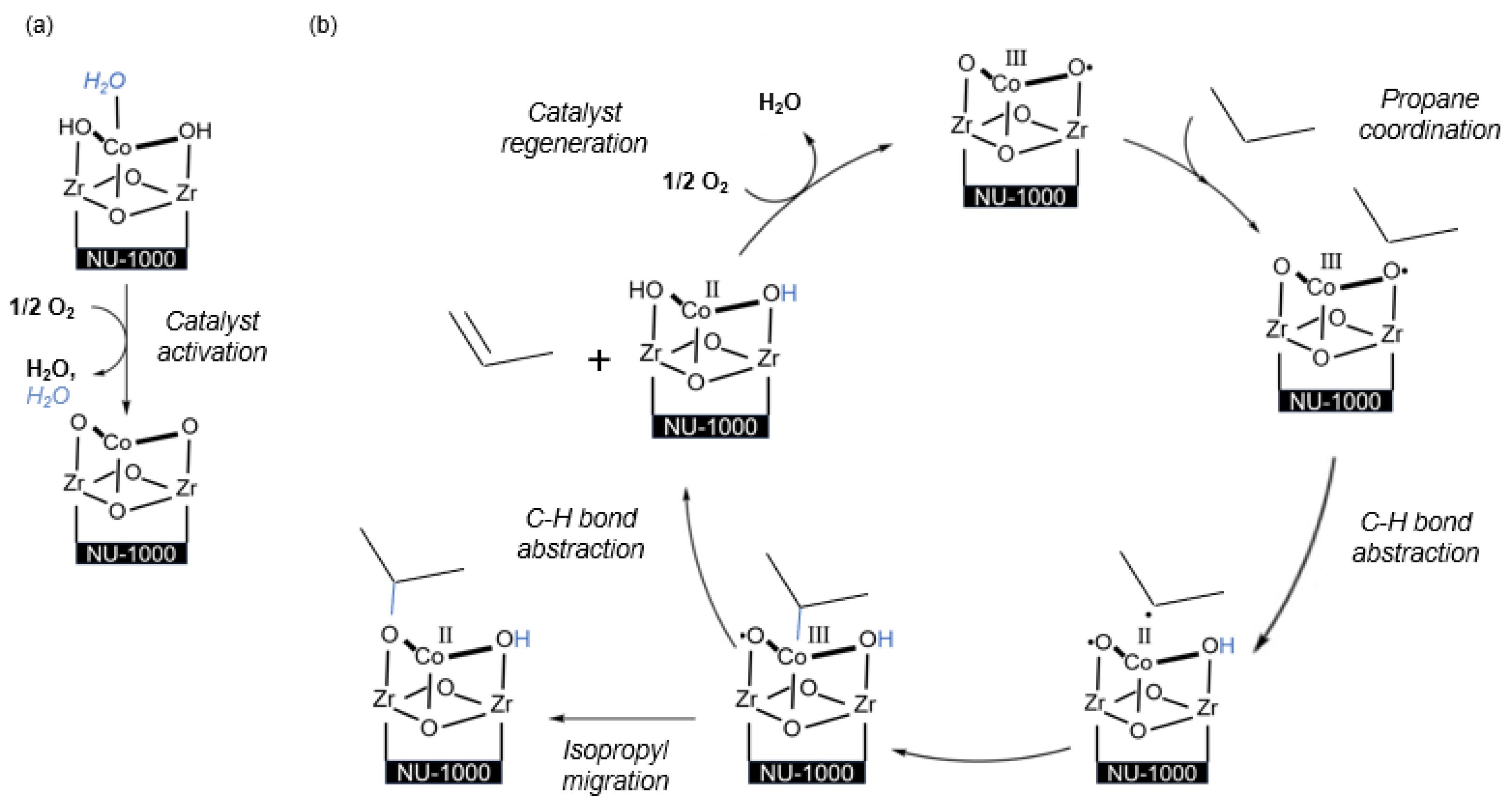 Molecules 29 01212 g005