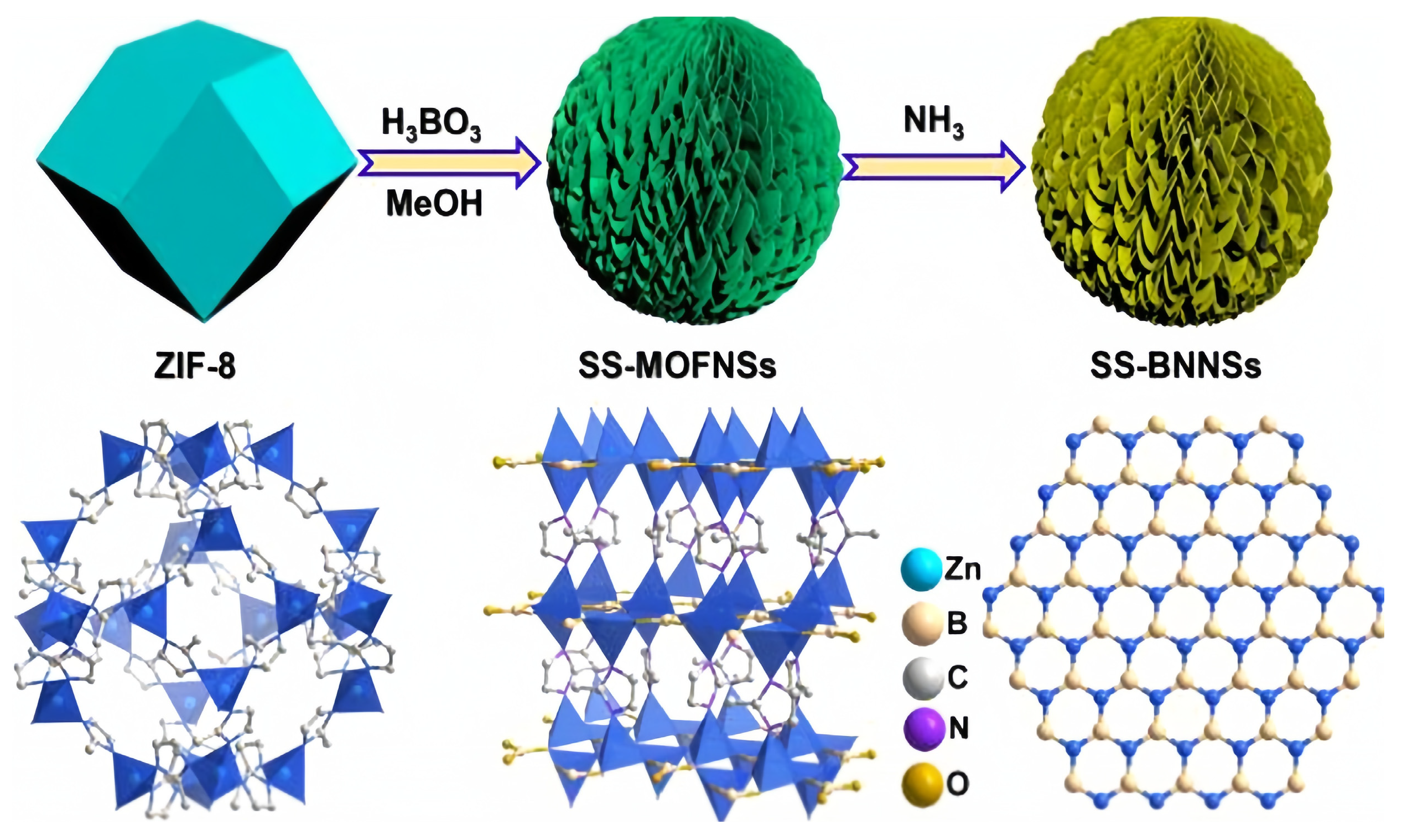 Molecules 29 01212 g008