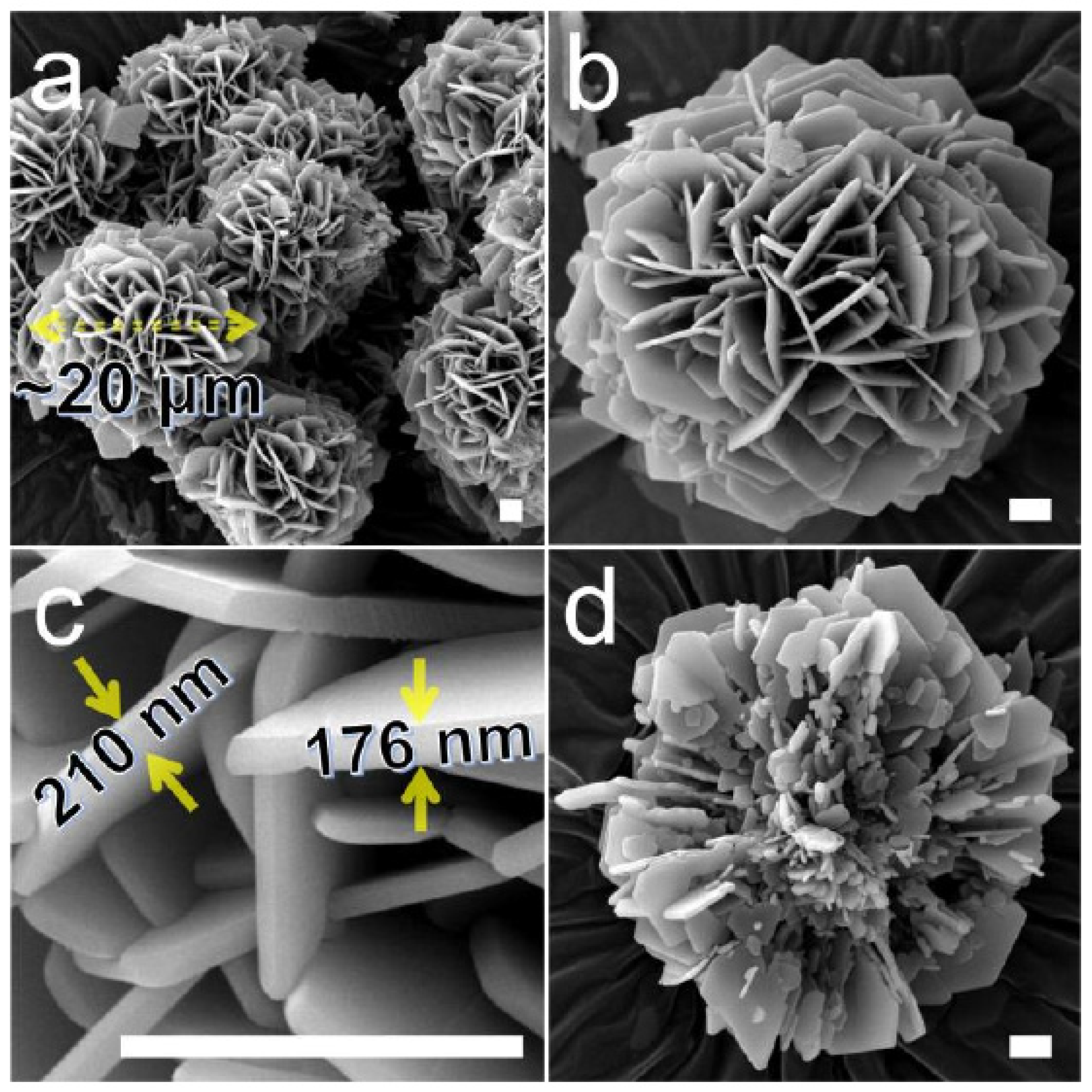 Molecules 29 01212 g010
