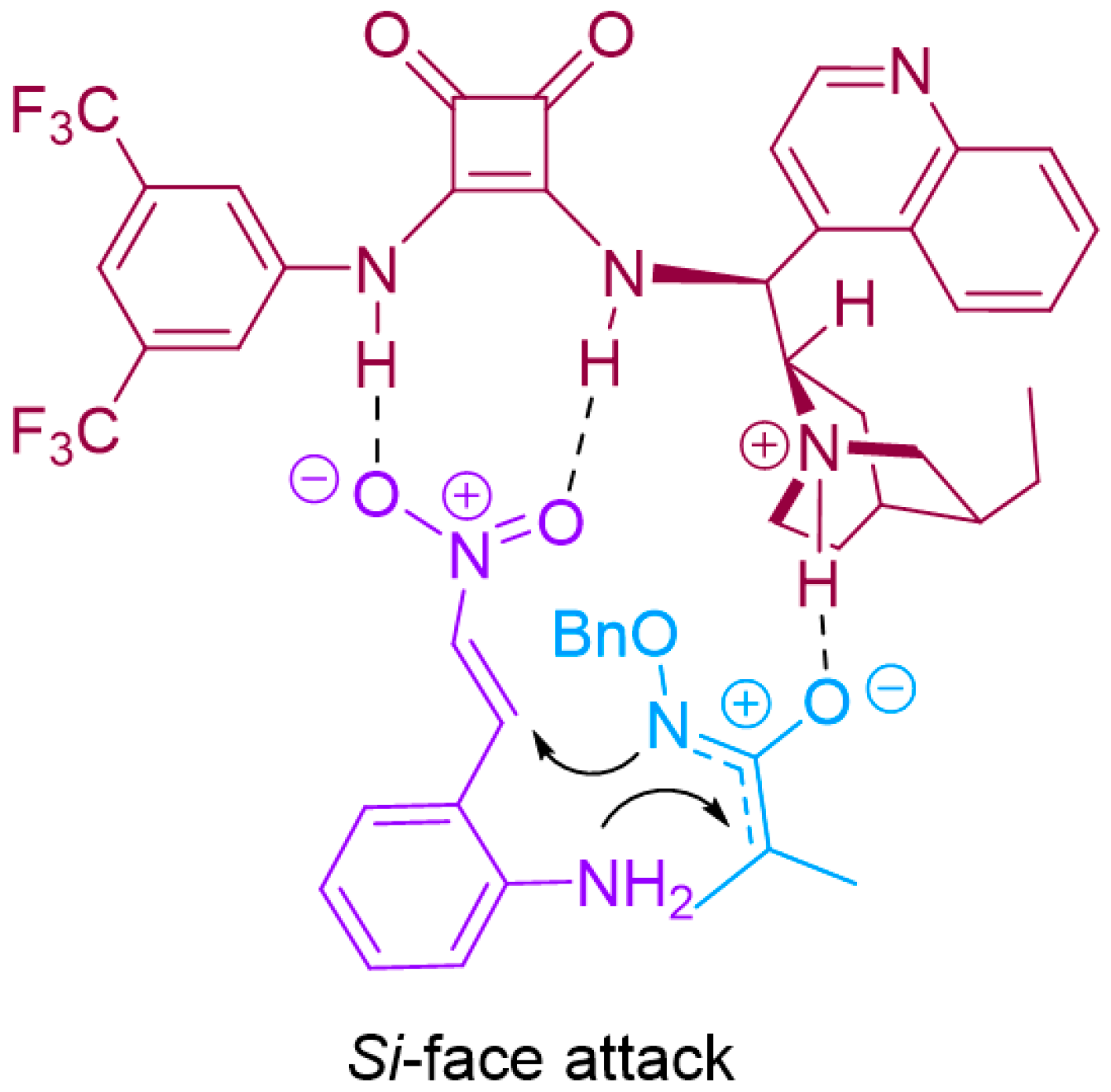 Molecules 29 01221 g003
