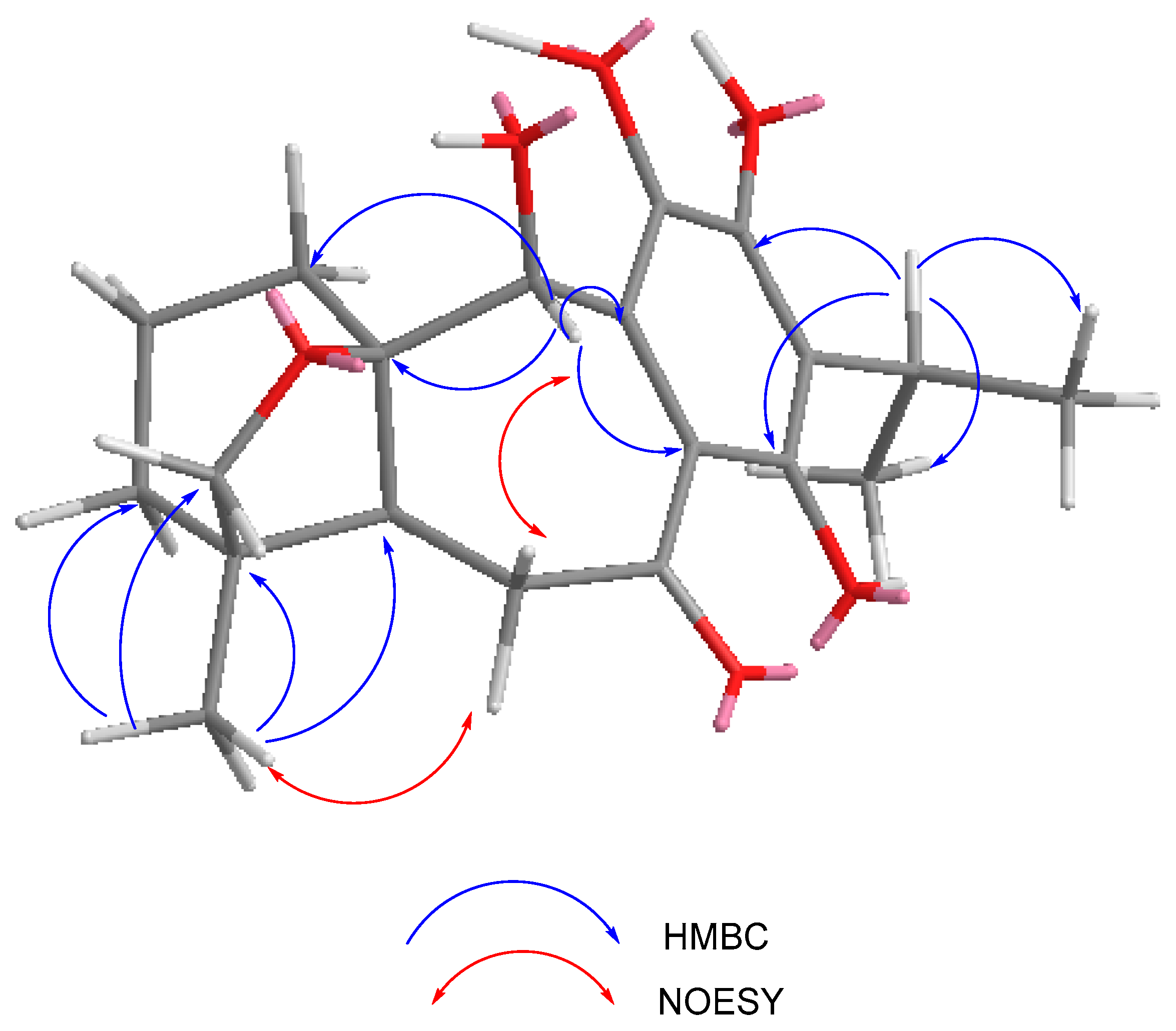 Molecules 29 01226 g004