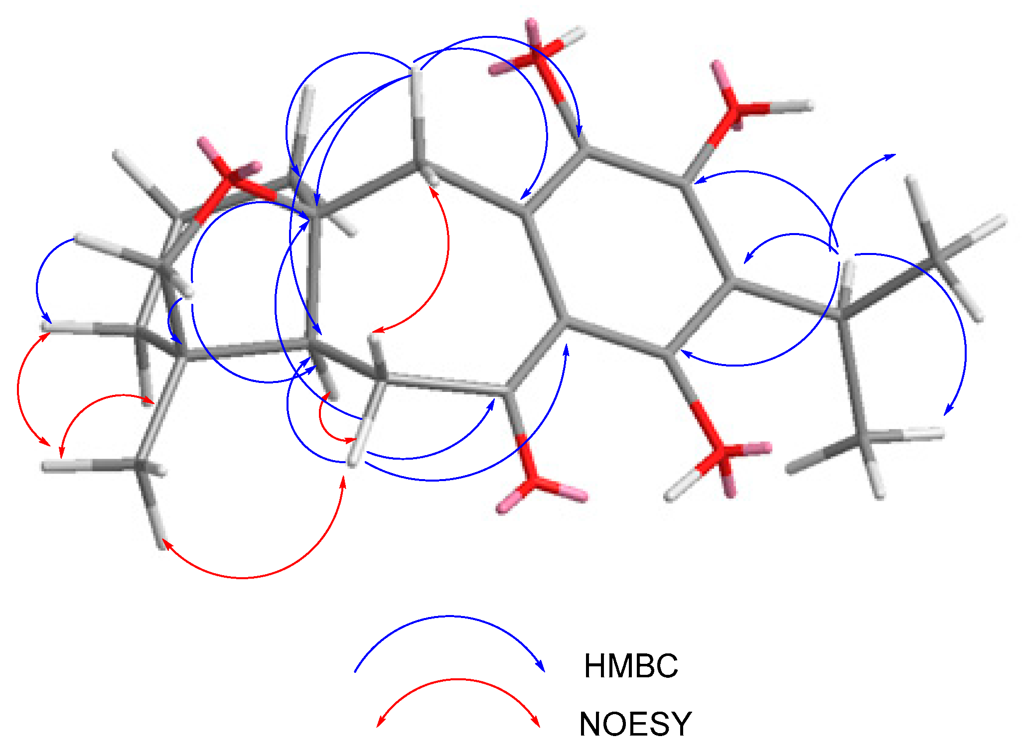 Molecules 29 01226 g006
