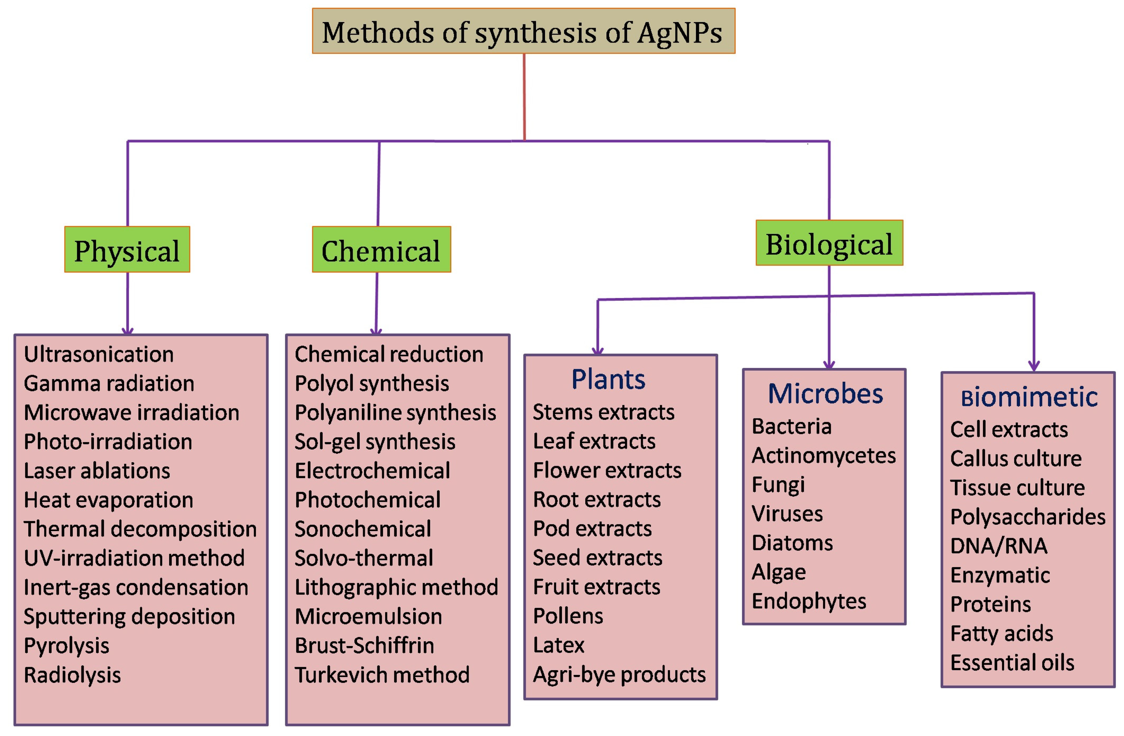Molecules 29 01250 g002