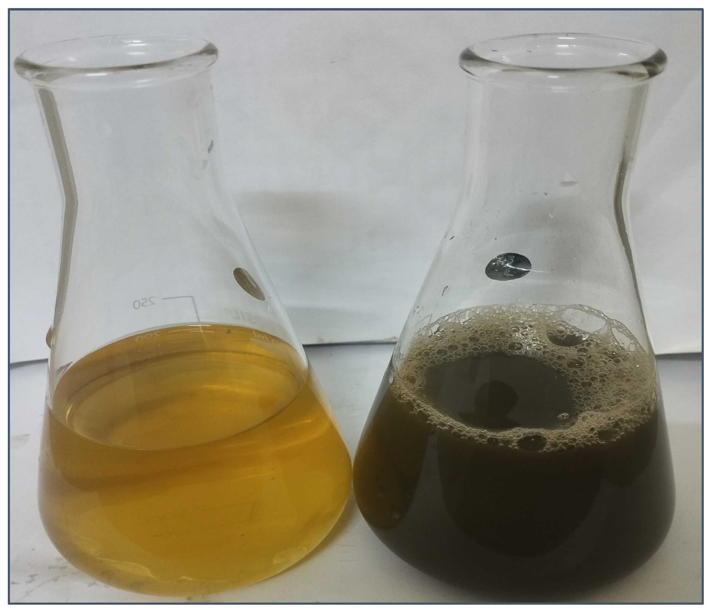 Molecules 29 01250 g003