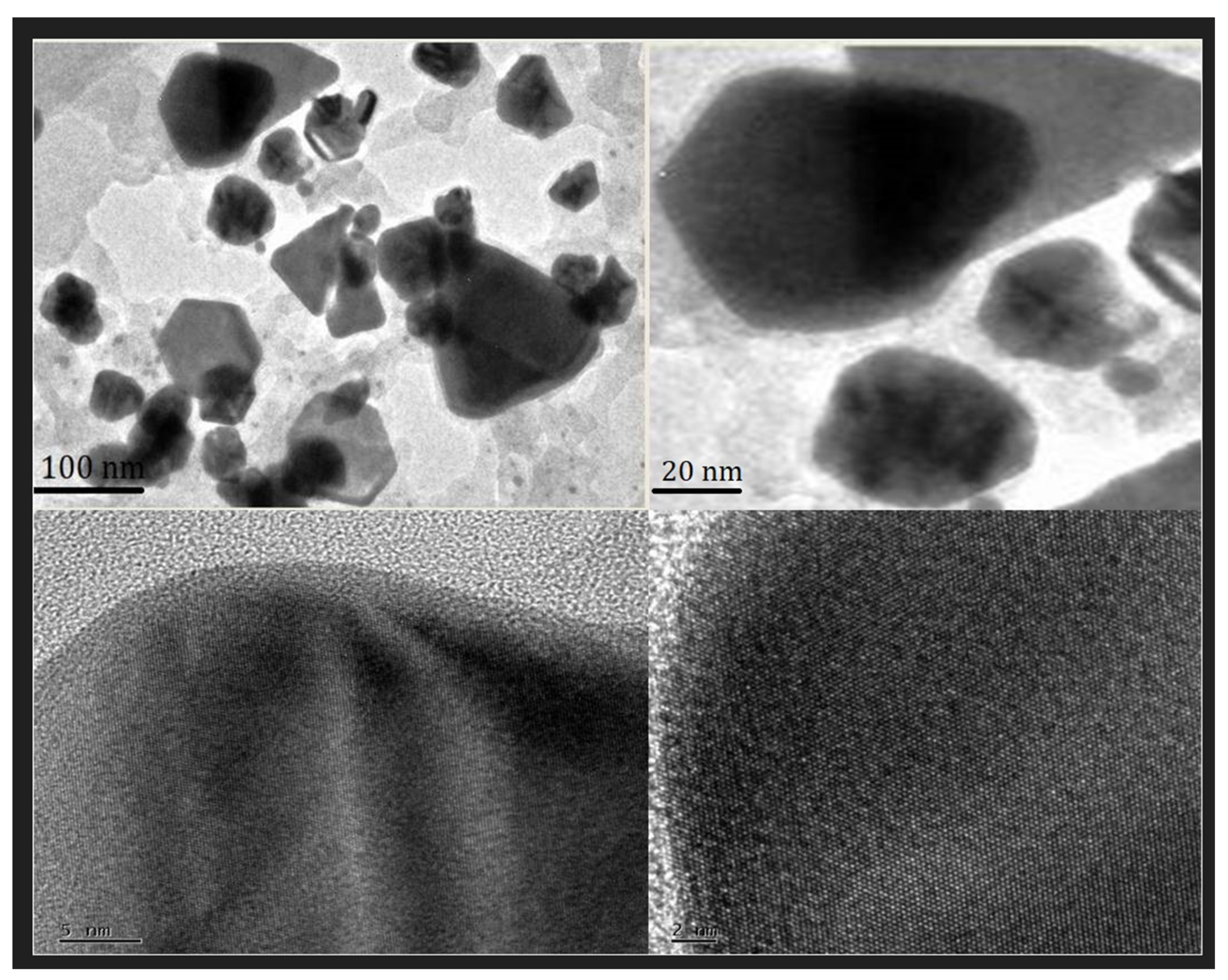 Molecules 29 01250 g007