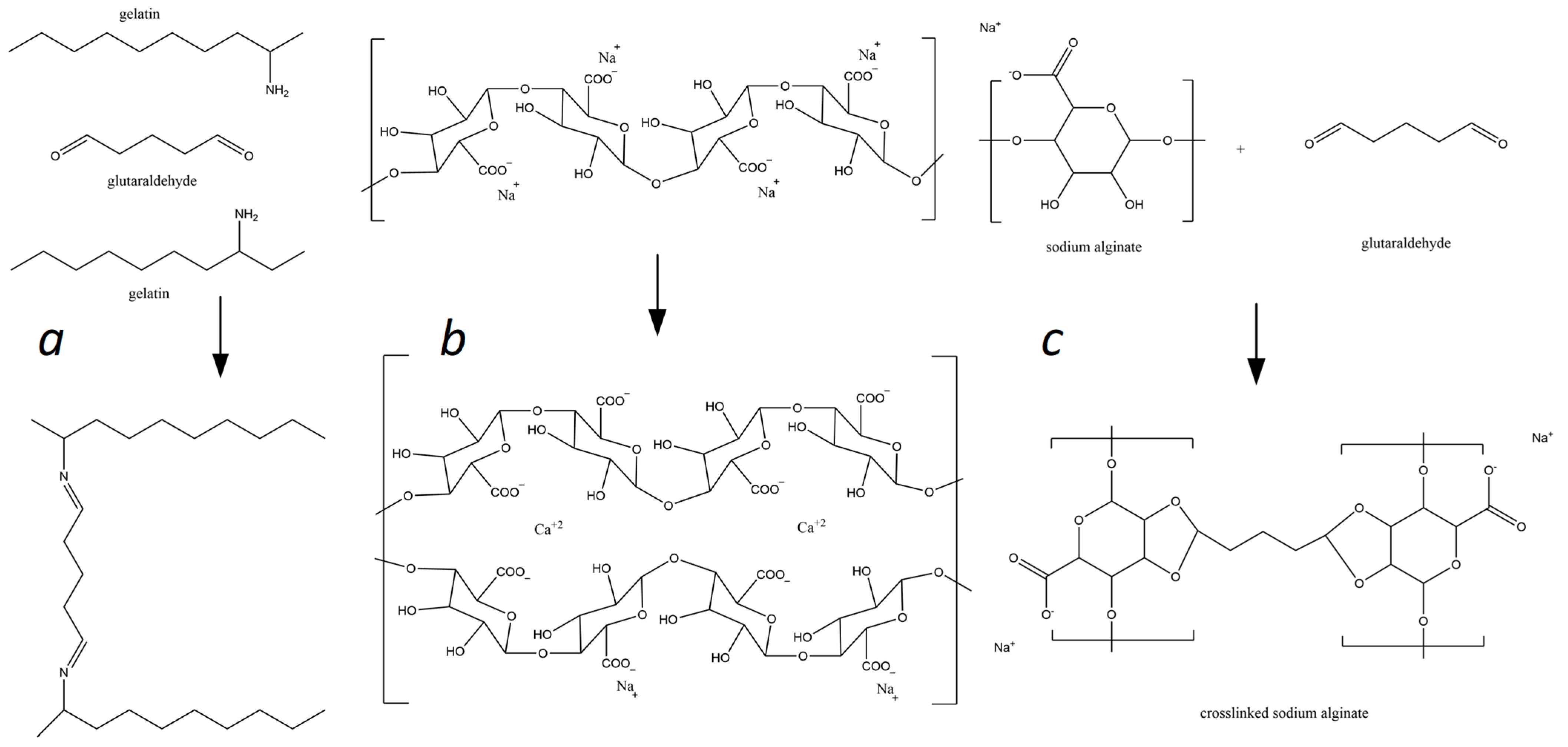 Molecules 29 01254 g001