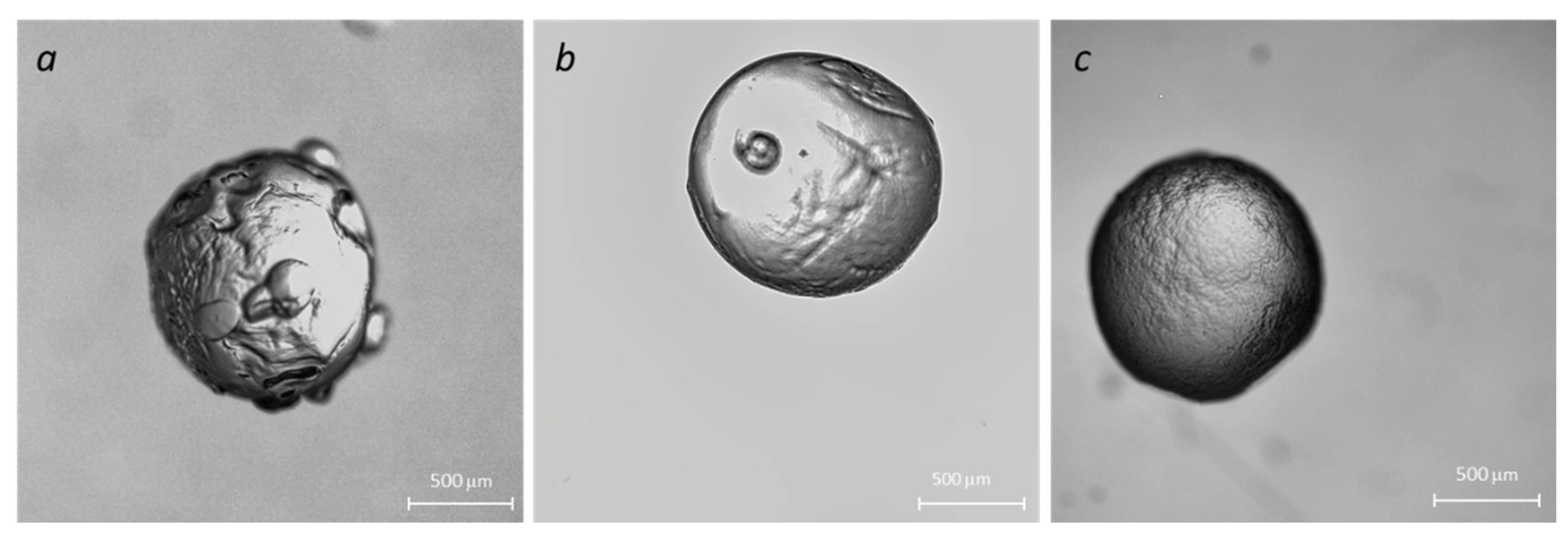Molecules 29 01254 g003