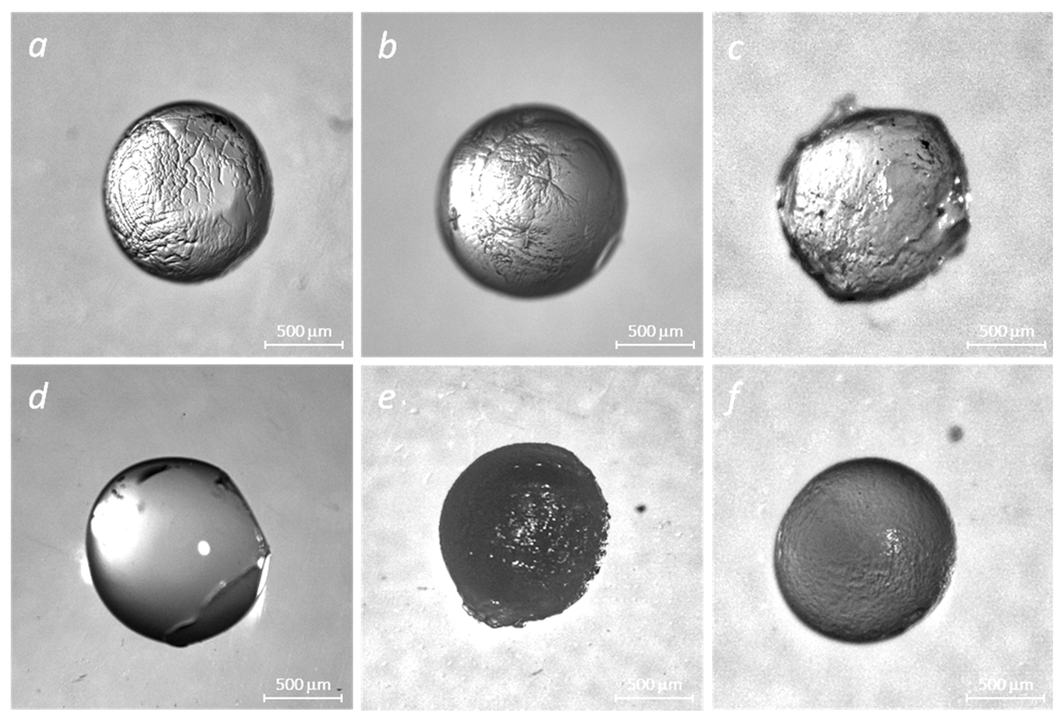 Molecules 29 01254 g004