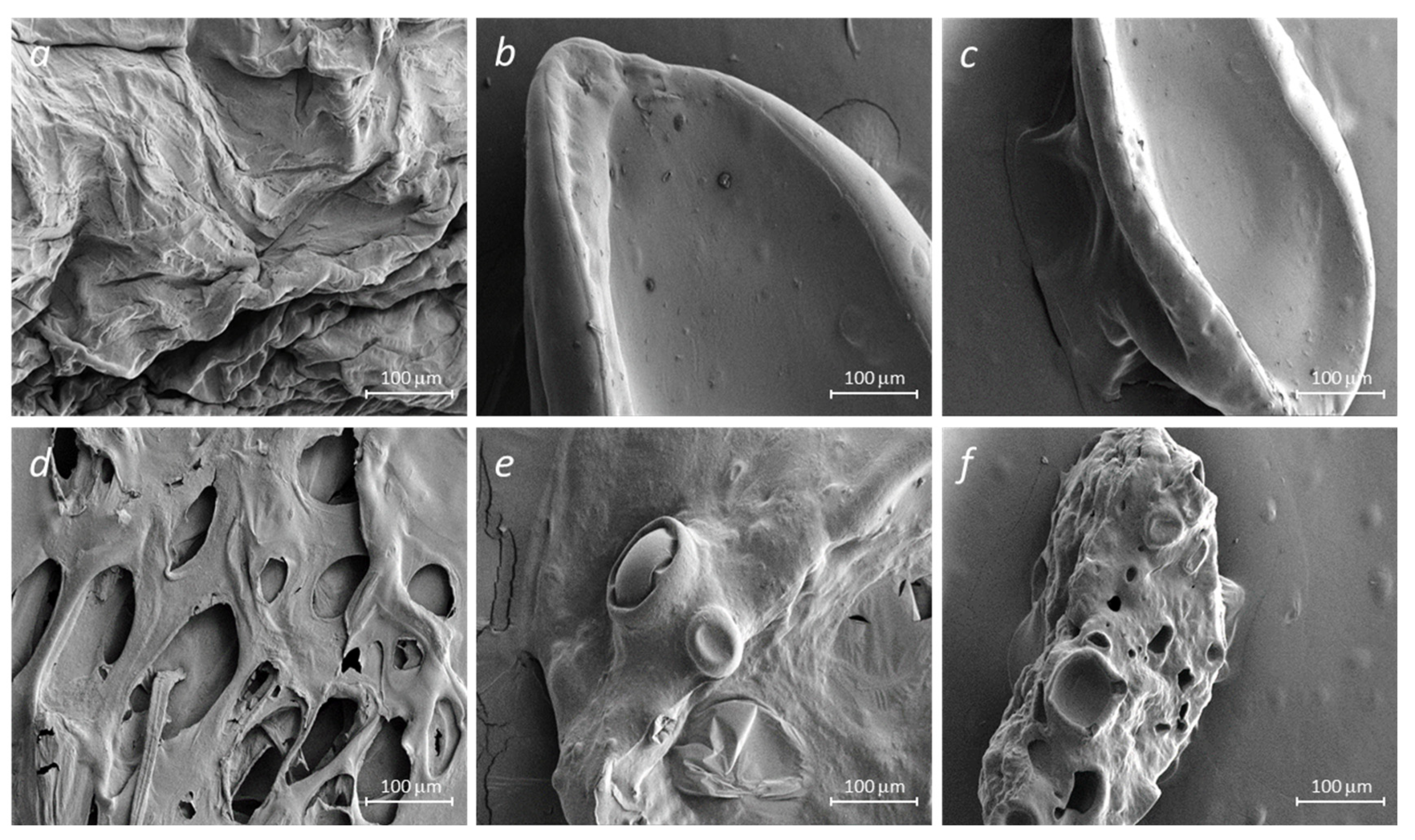 Molecules 29 01254 g005