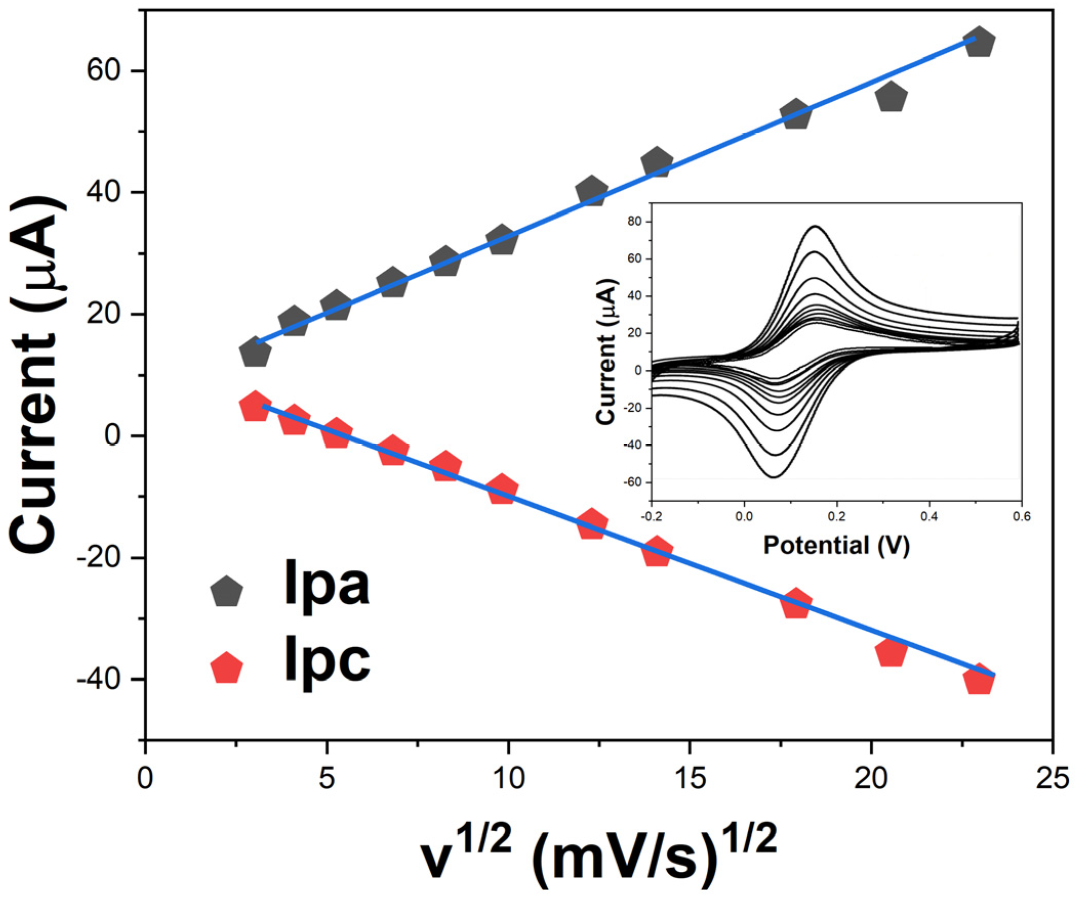 Molecules 29 01256 g006