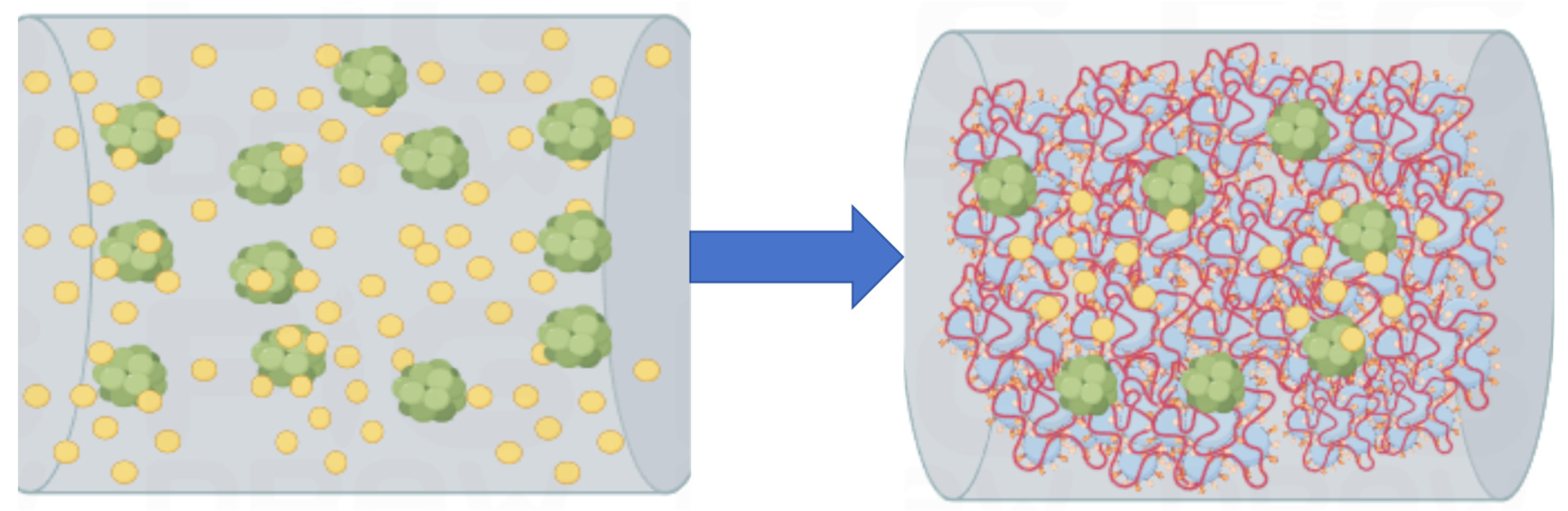 Molecules 29 01260 g004