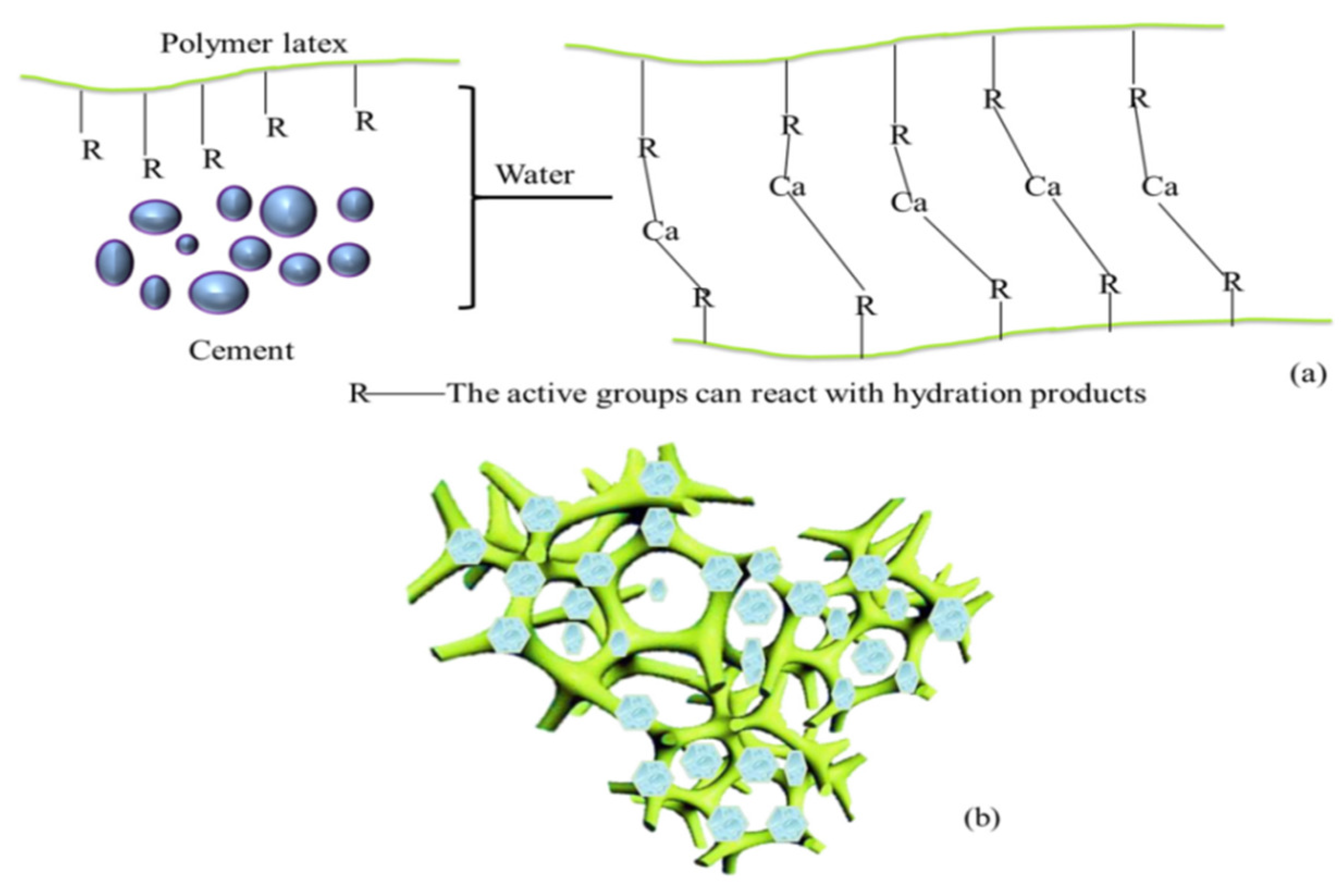 Molecules 29 01260 g006