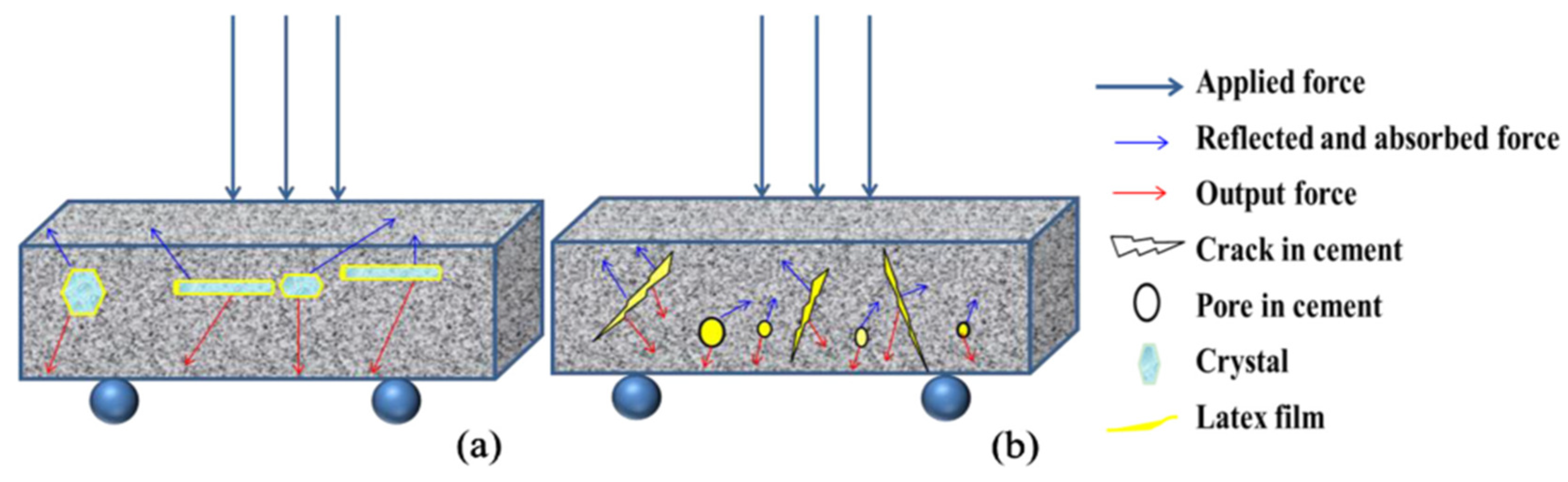 Molecules 29 01260 g007