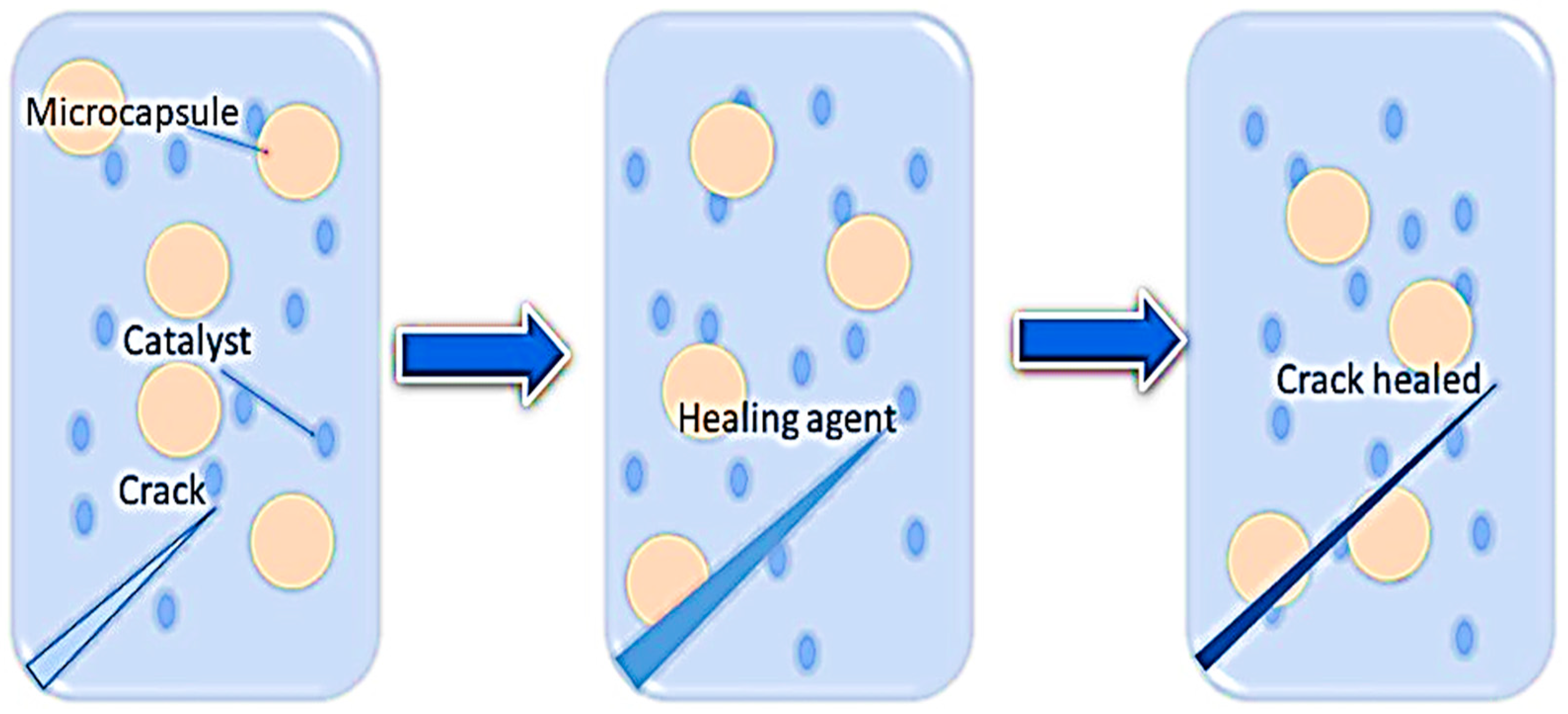 Molecules 29 01267 g001