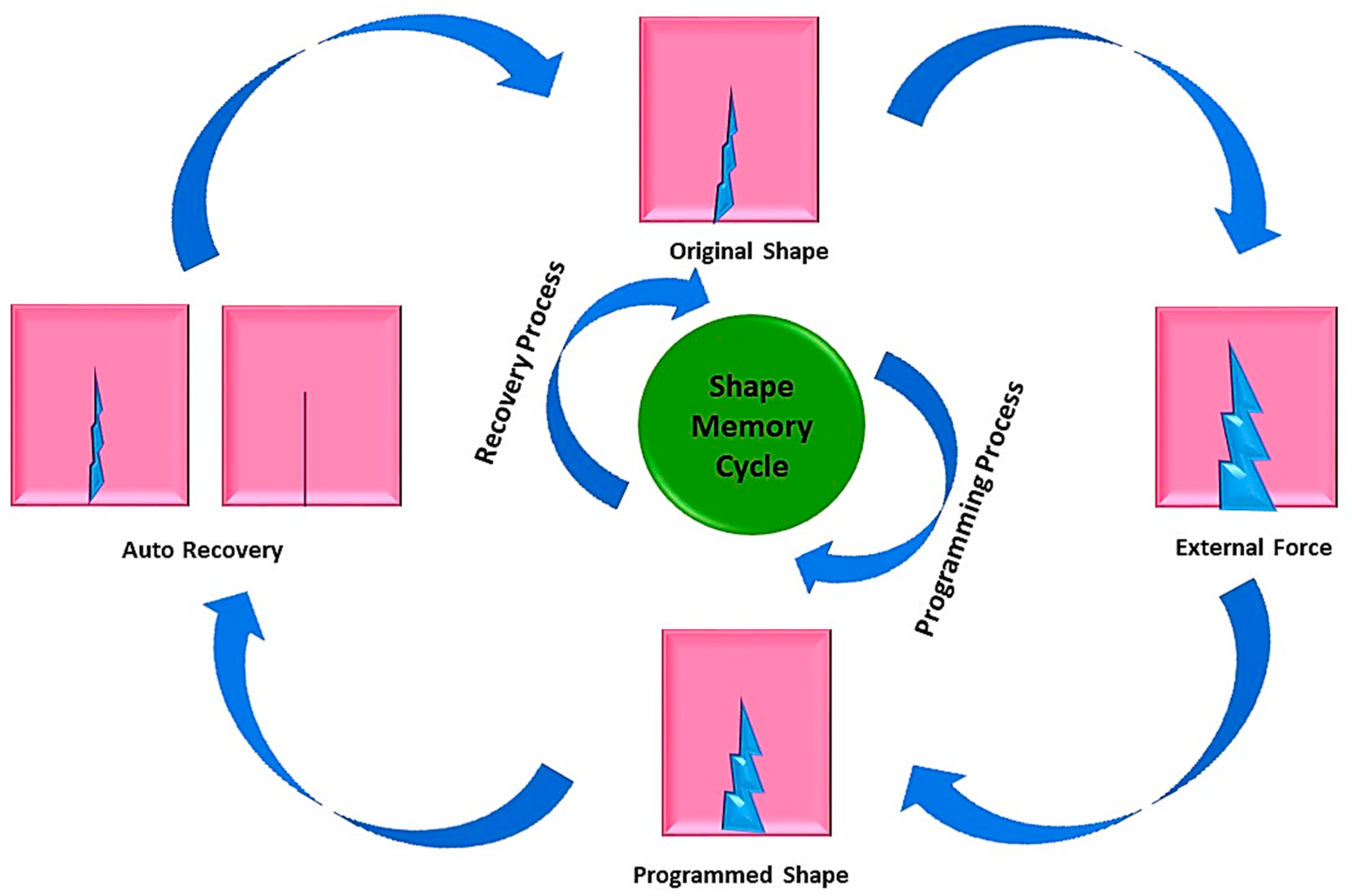 Molecules 29 01267 g002