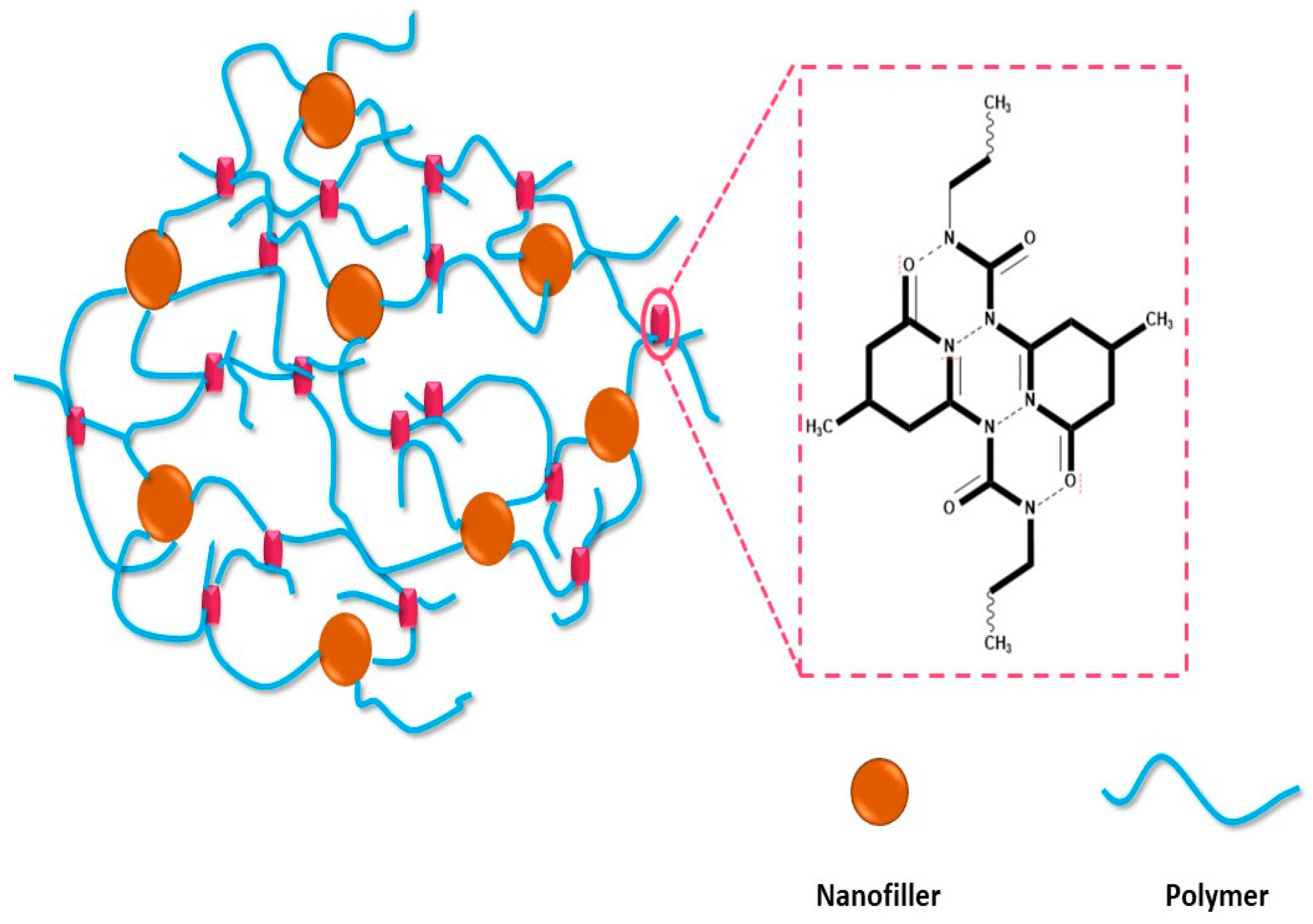 Molecules 29 01267 g004