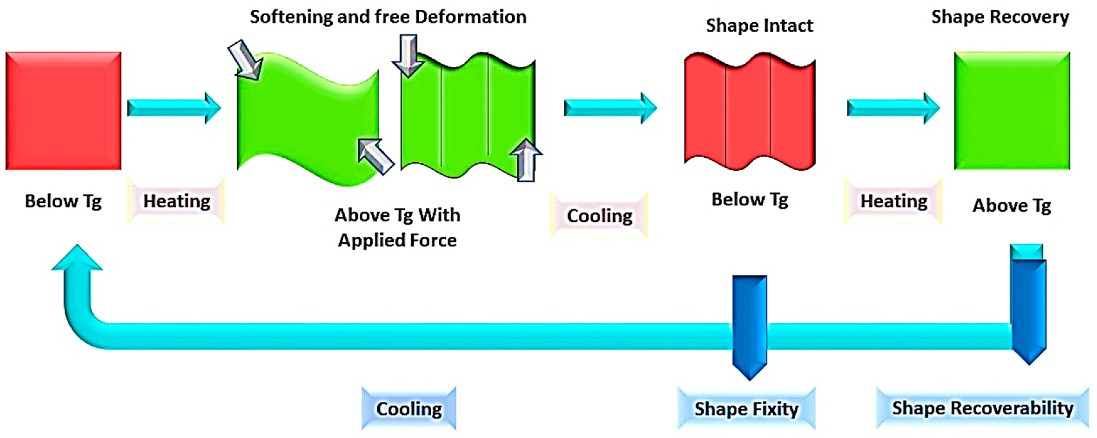 Molecules 29 01267 g006