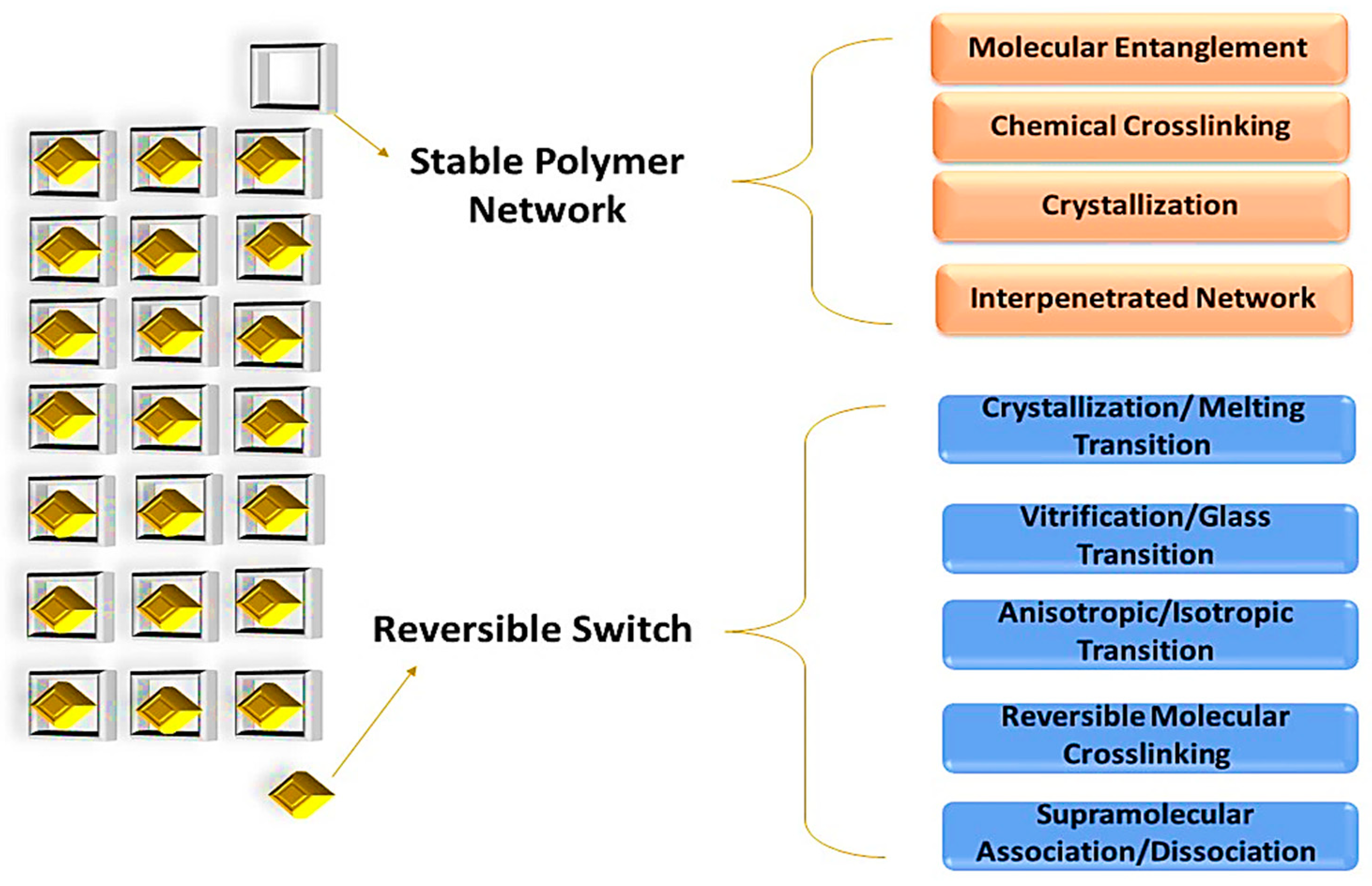 Molecules 29 01267 g007