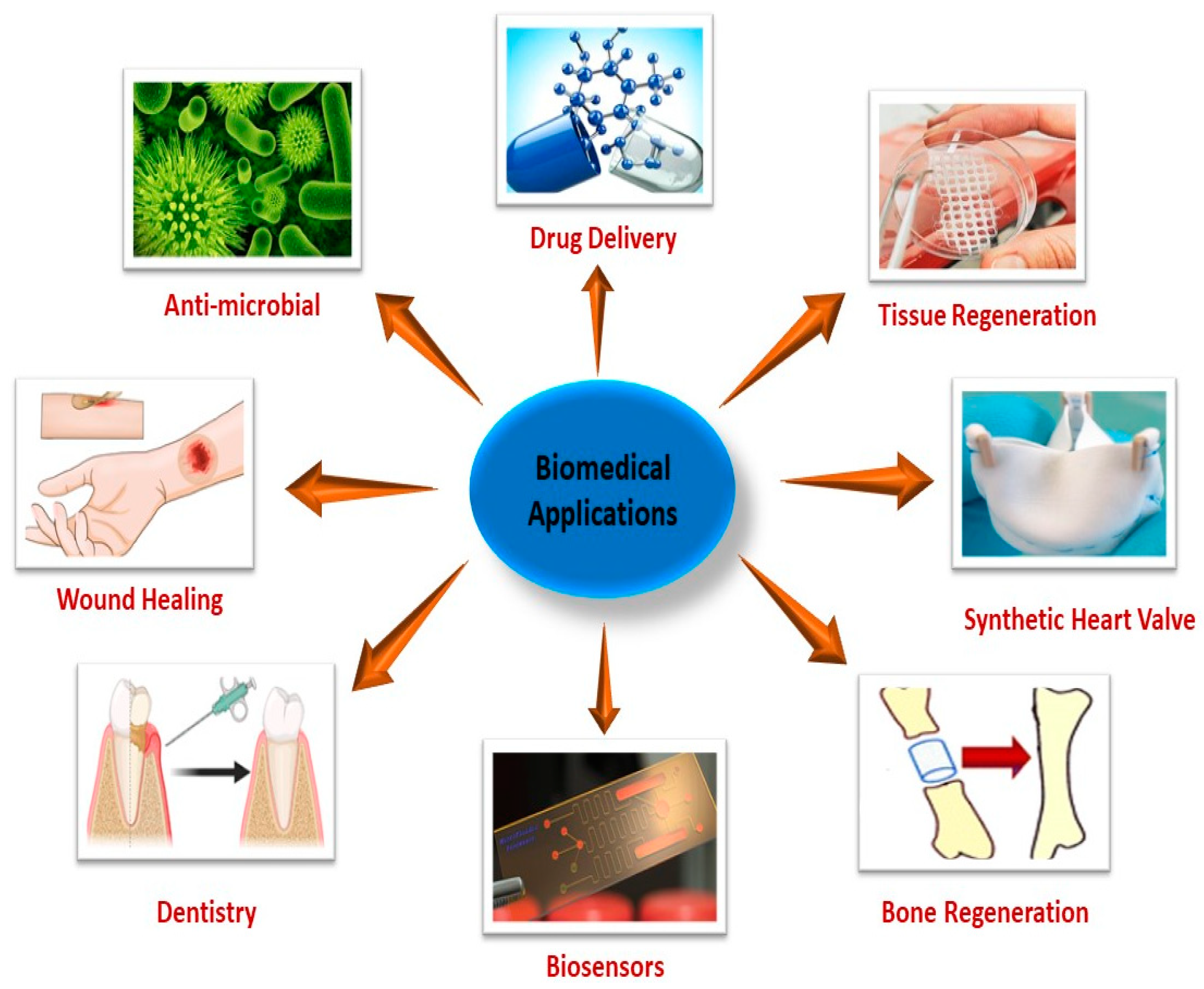 Molecules 29 01267 g009