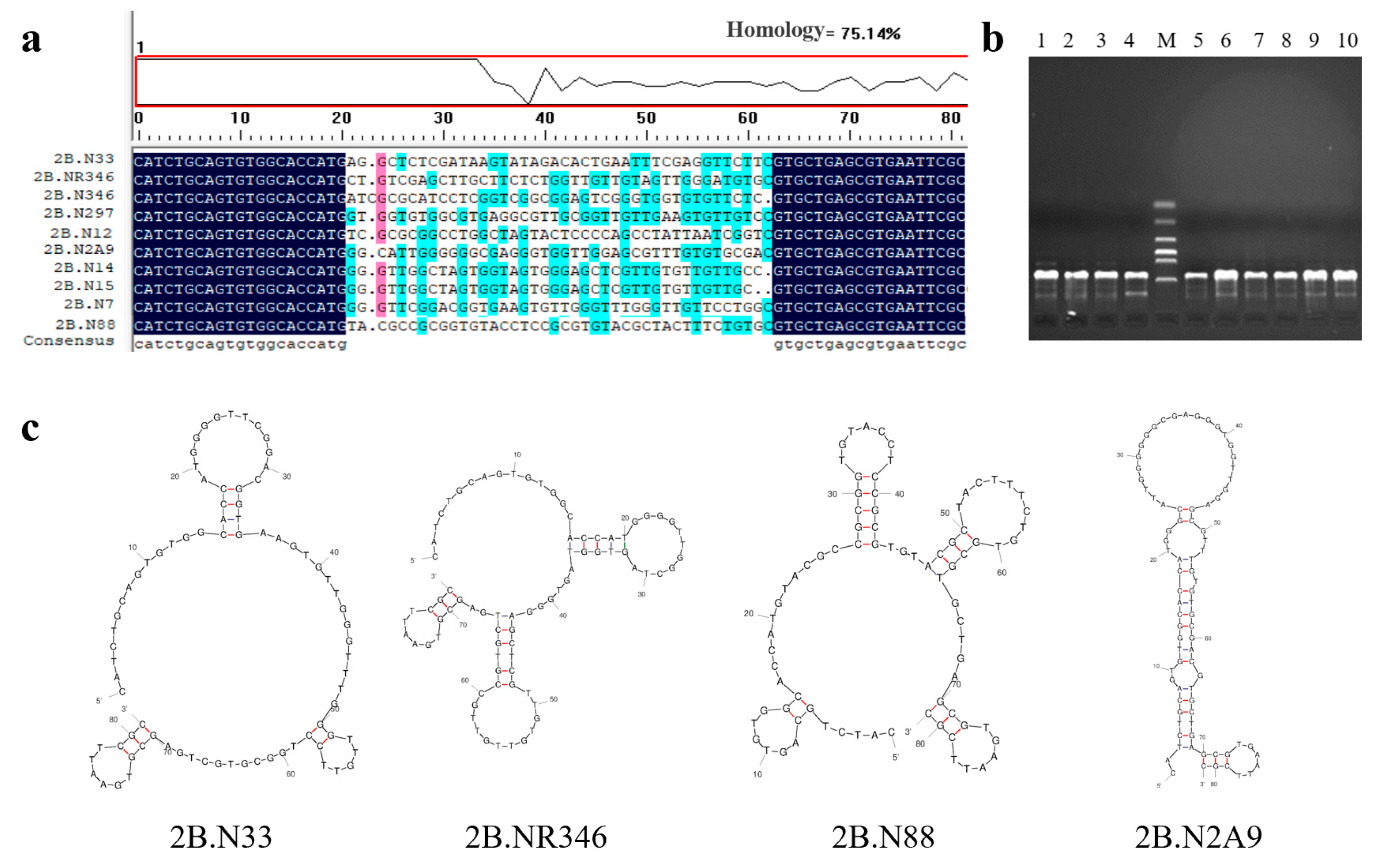 Molecules 29 01273 g002