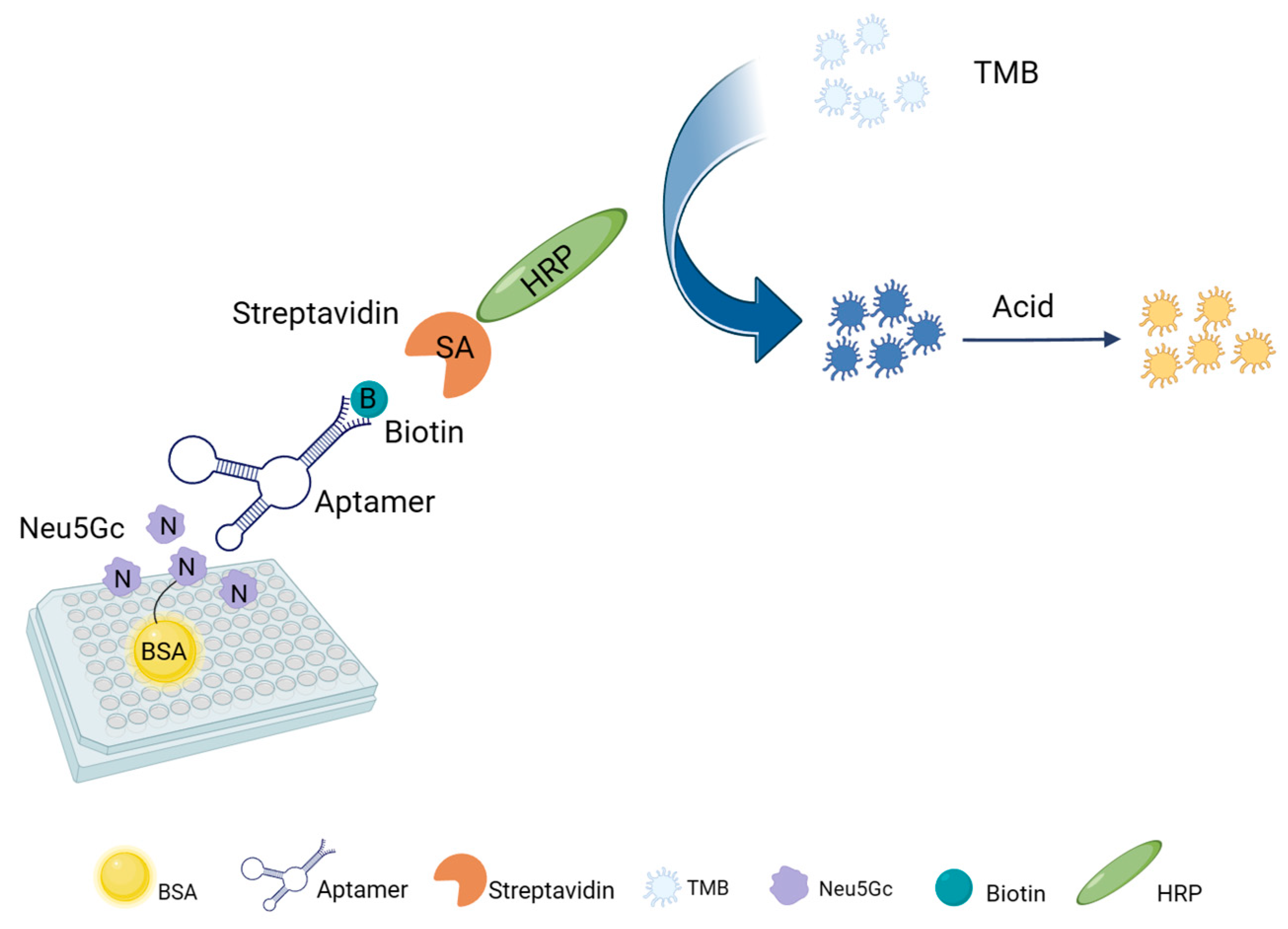 Molecules 29 01273 g007