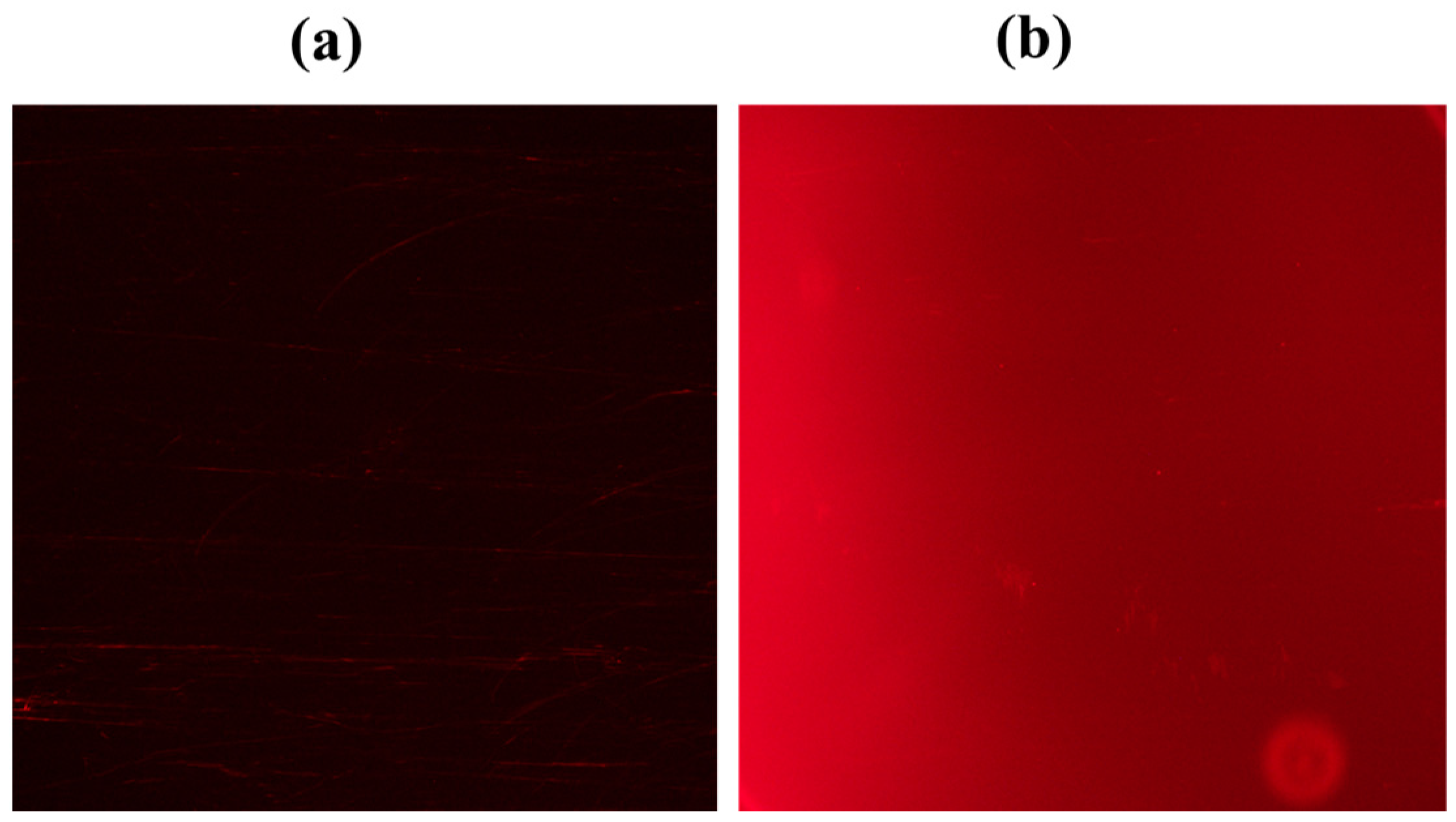 Molecules 29 01282 g004 Molecules 29 01282 g004
