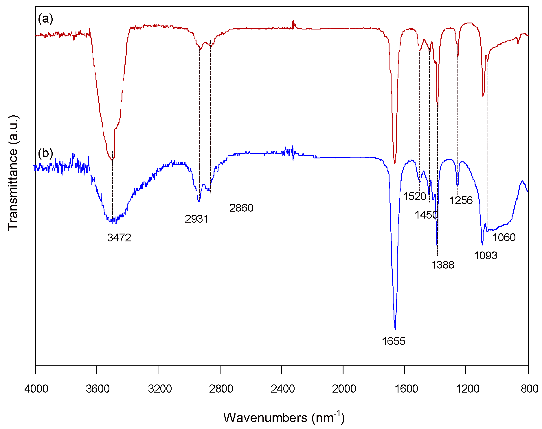 Molecules 29 01349 g004