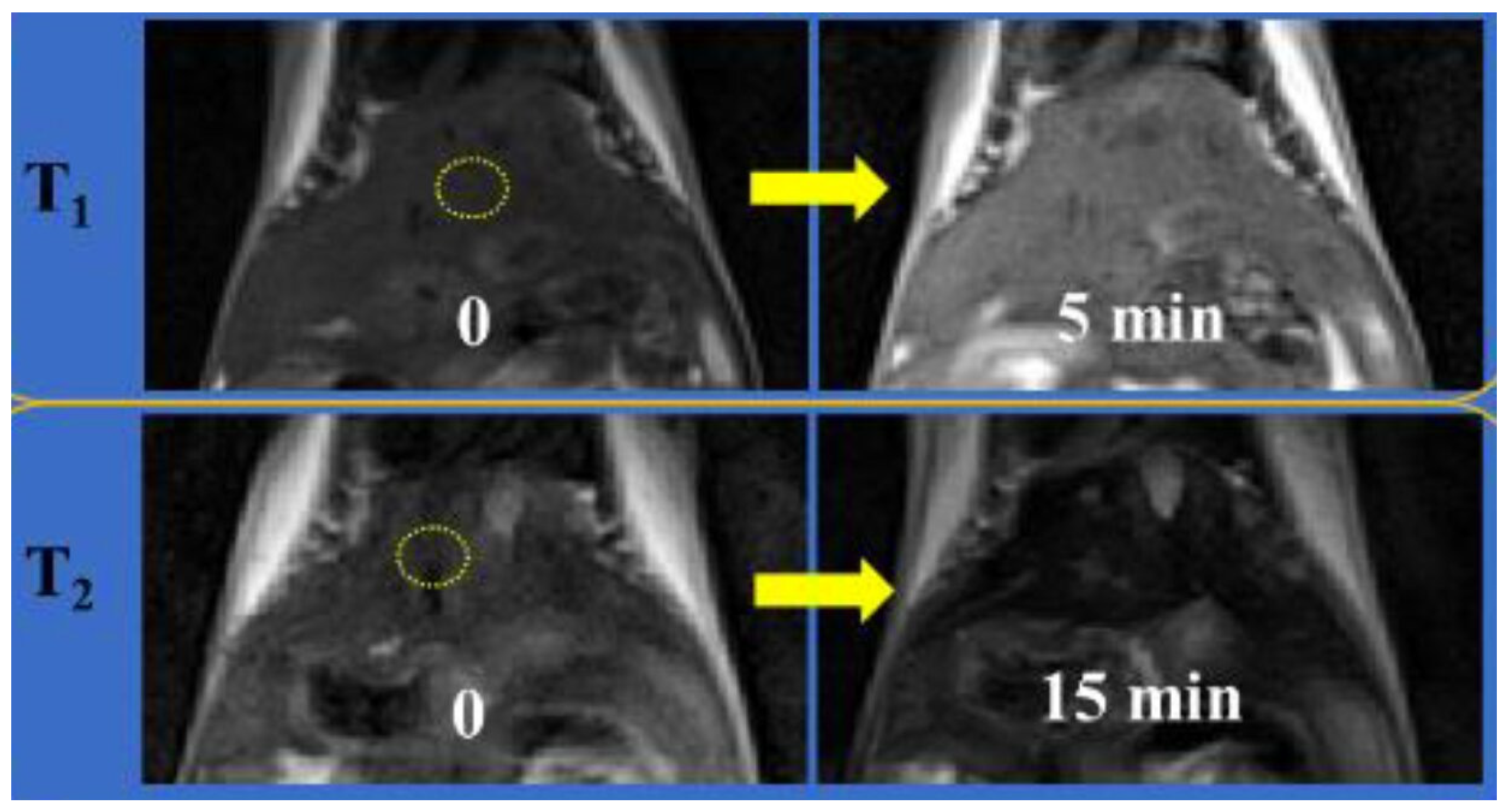 Molecules 29 01352 g001 Molecules 29 01352 g001