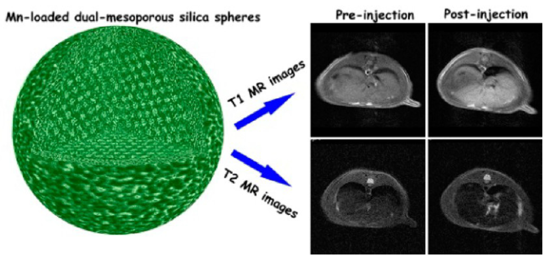 Molecules 29 01352 g002 Molecules 29 01352 g002