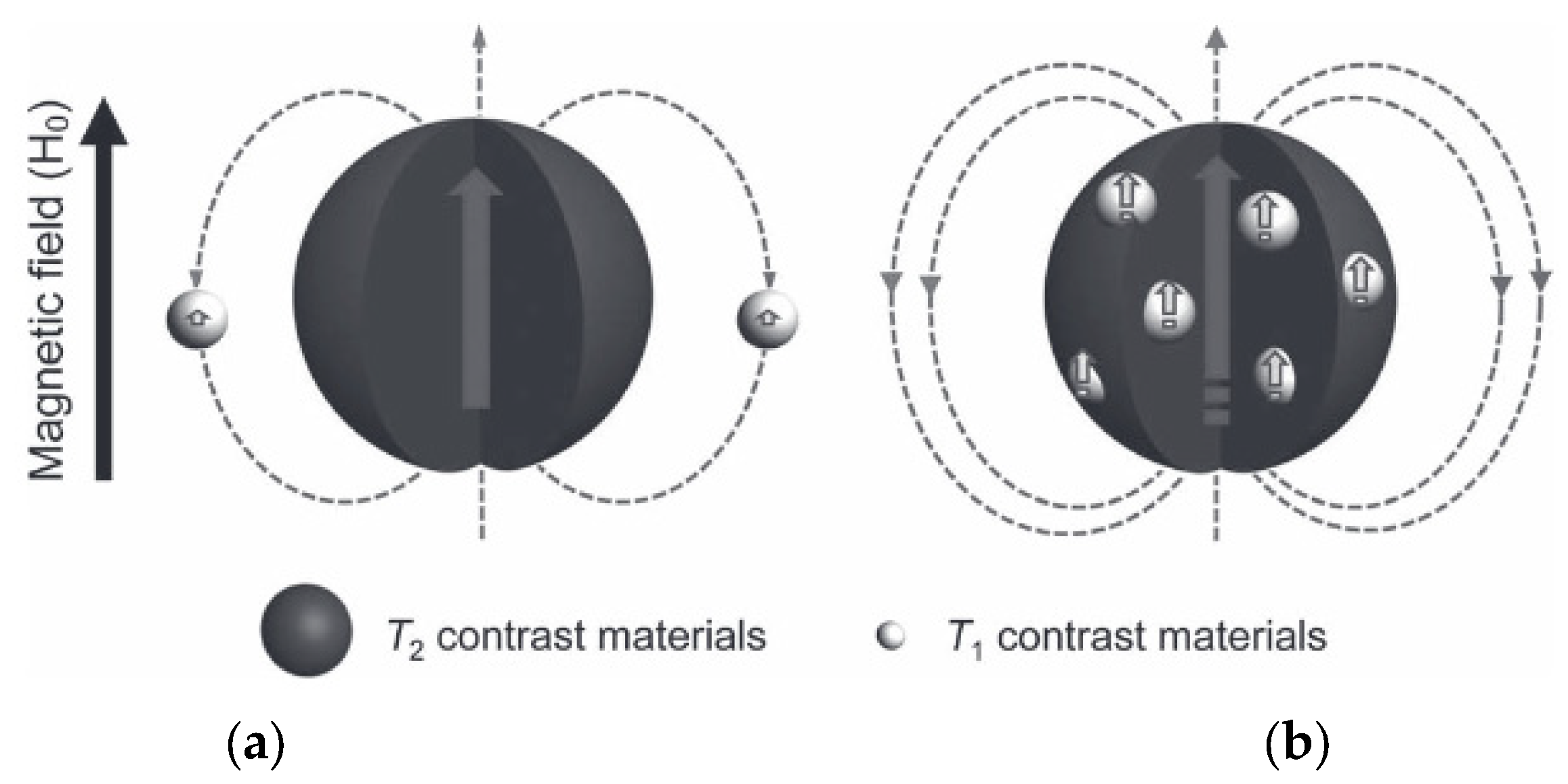 Molecules 29 01352 g004 Molecules 29 01352 g004