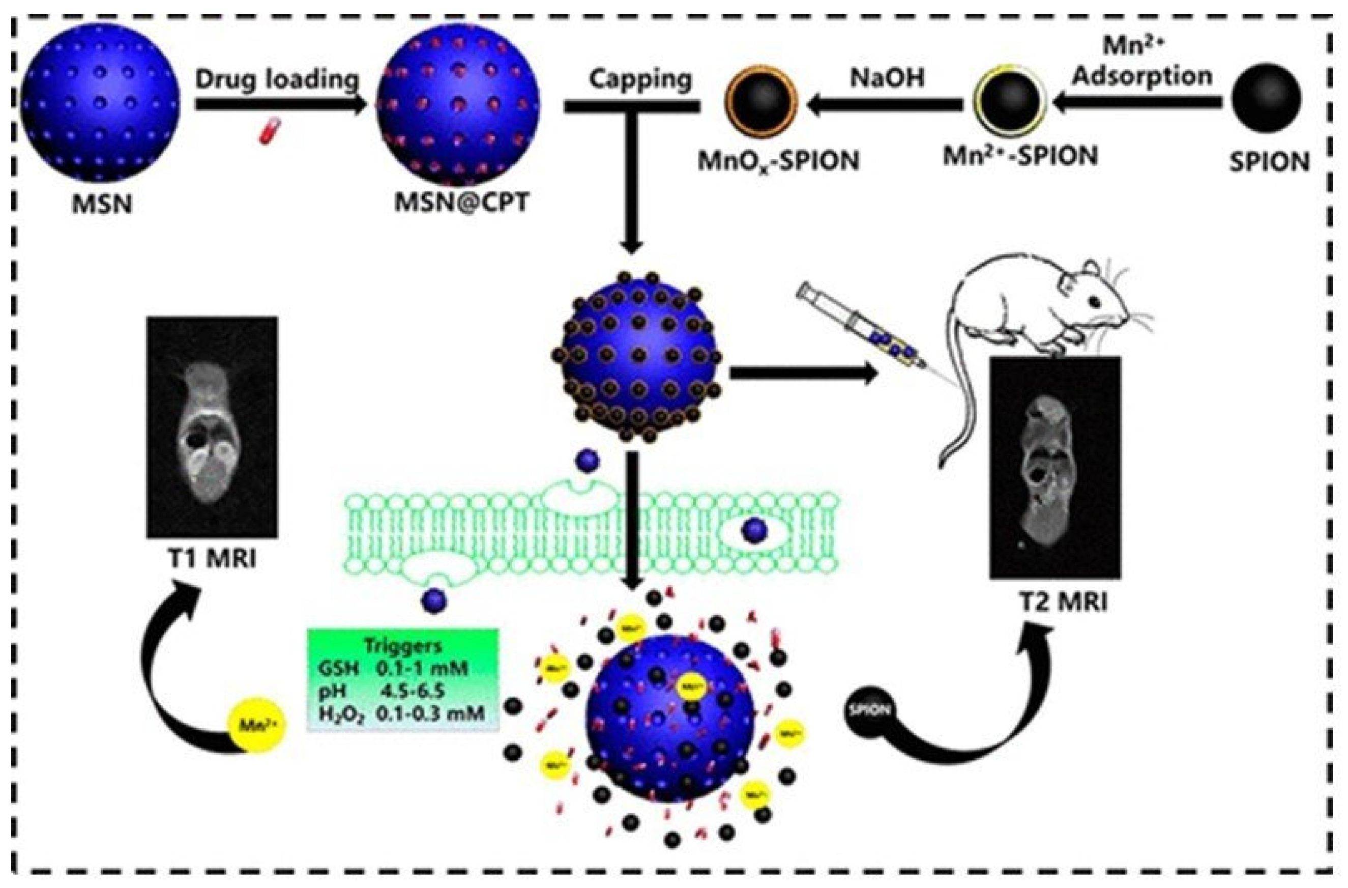 Molecules 29 01352 g006 Molecules 29 01352 g006