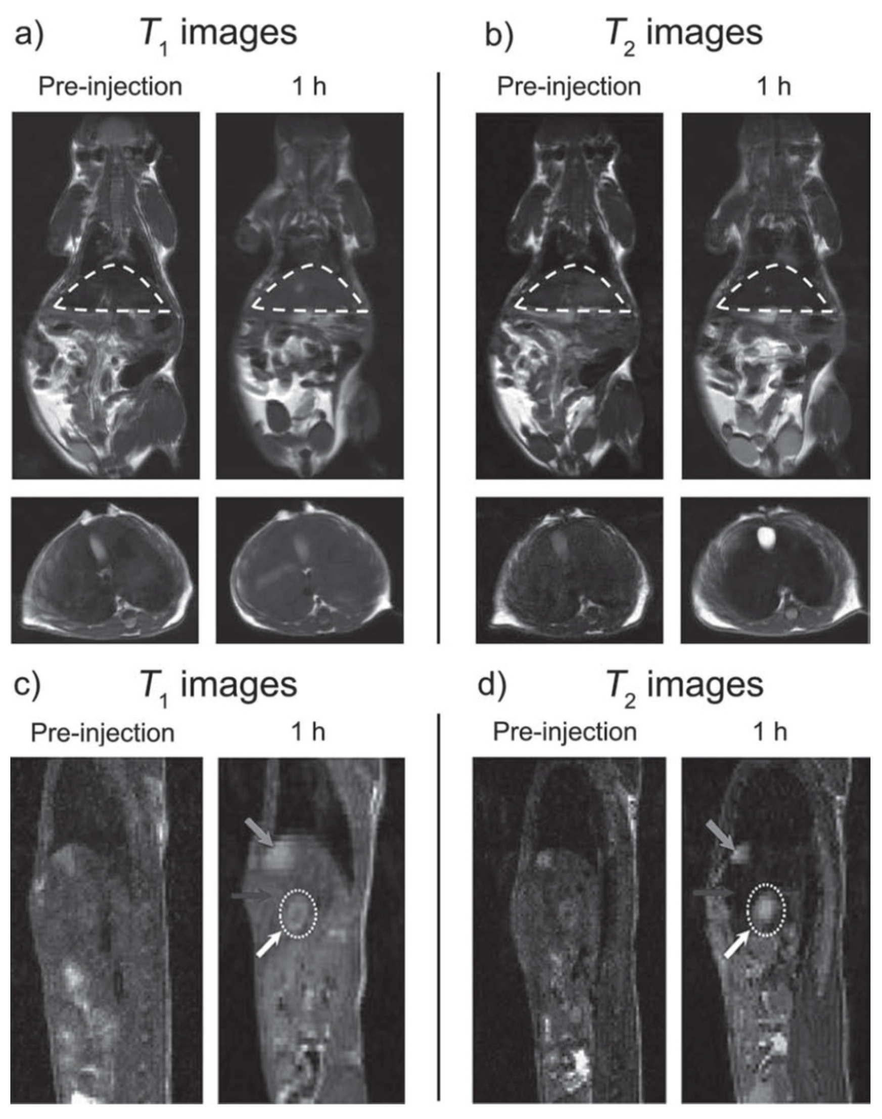 Molecules 29 01352 g008 Molecules 29 01352 g008