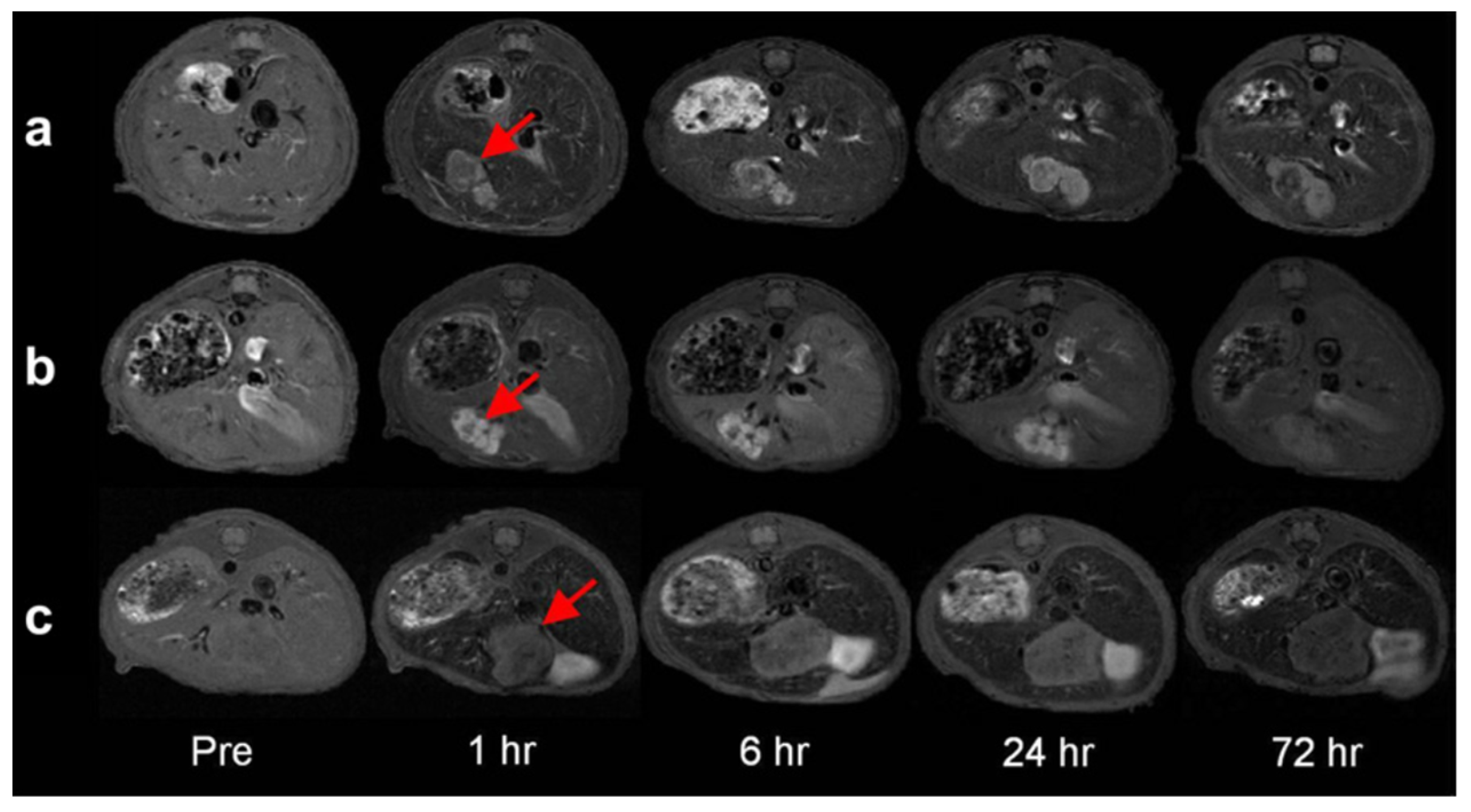 Molecules 29 01352 g011 Molecules 29 01352 g011