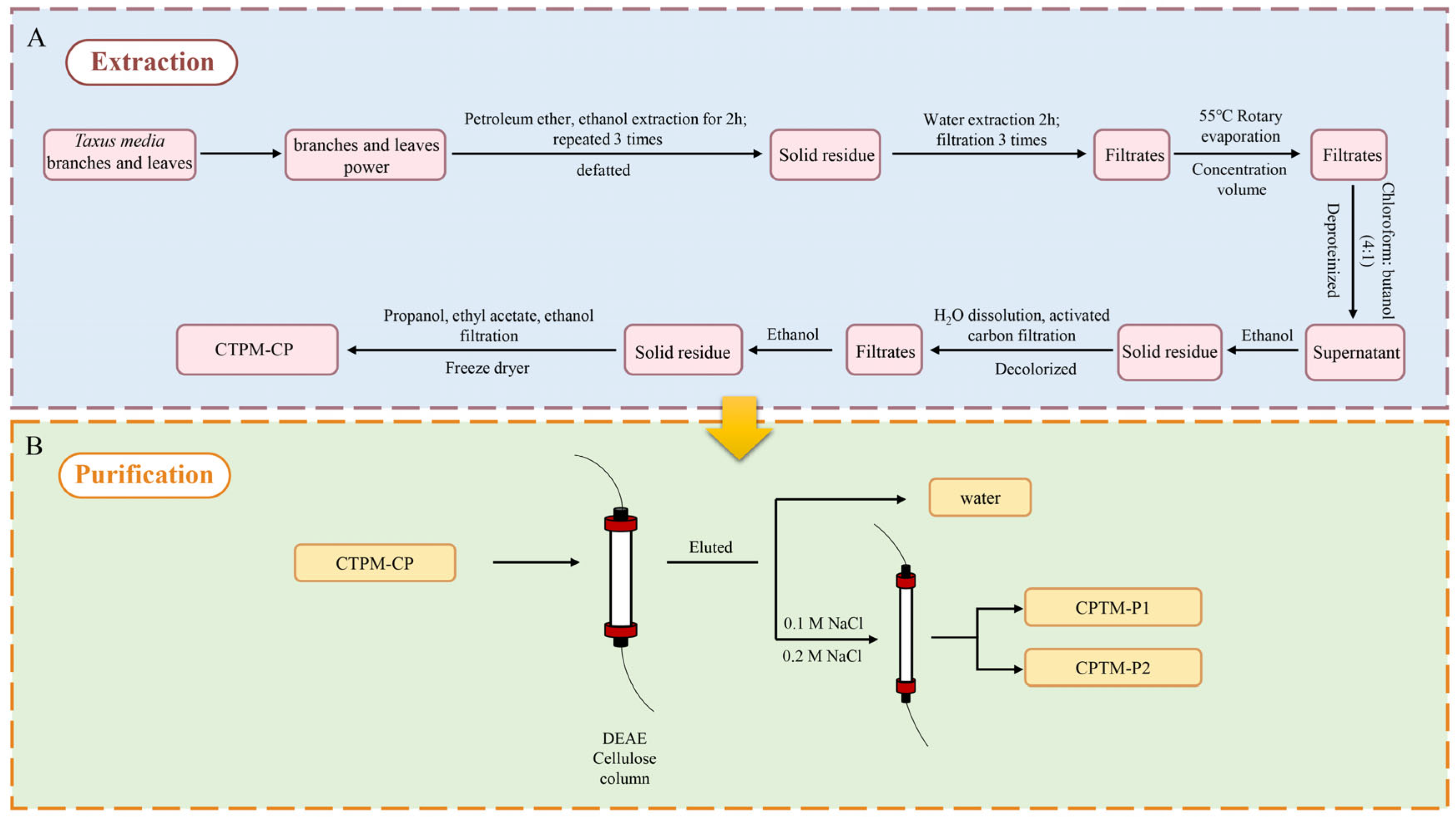 Molecules 29 01370 g008 Molecules 29 01370 g008