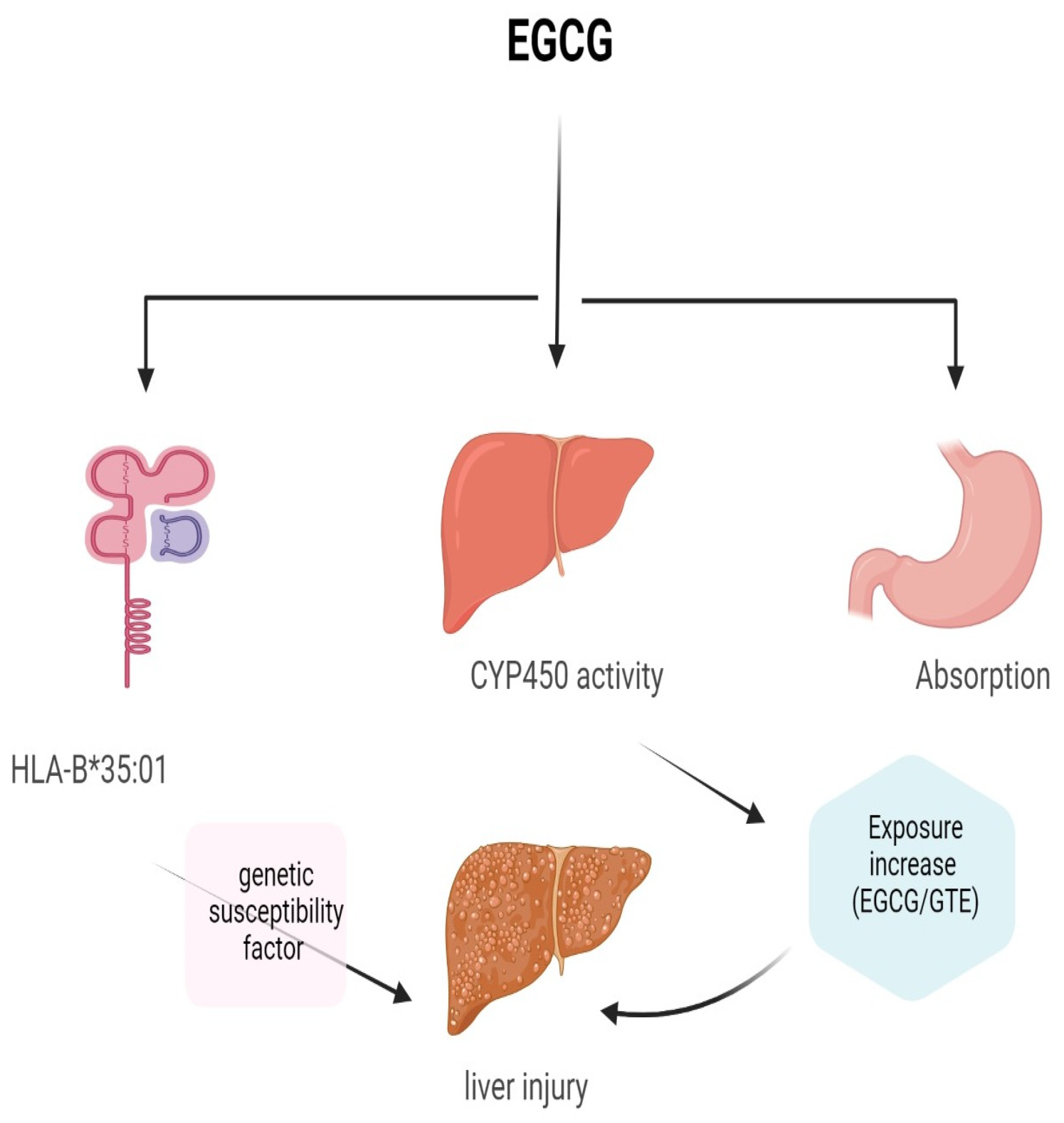 Molecules | Free Full-Text | Targeting Cancer Hallmarks with ...