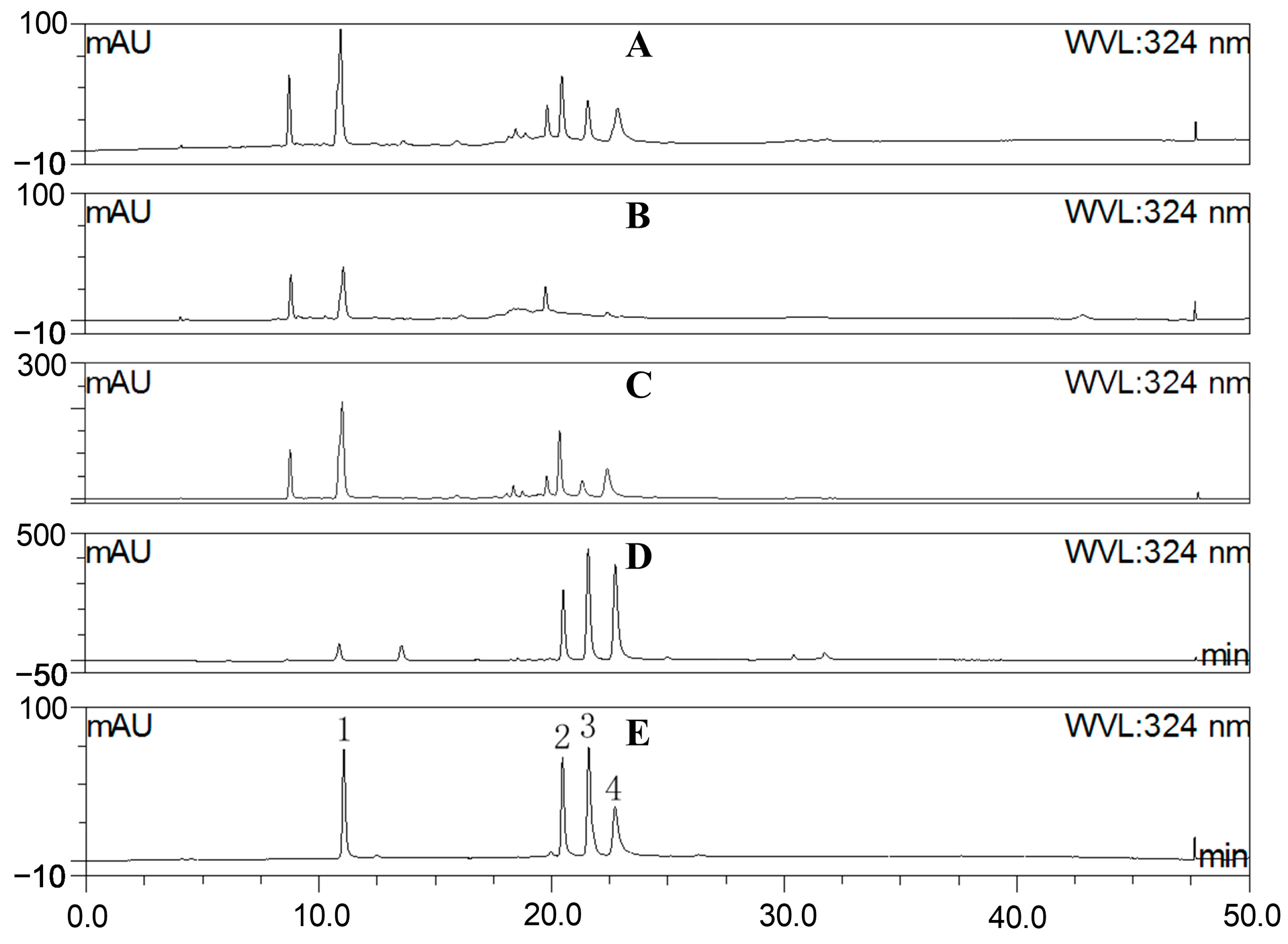 Molecules 29 01375 g002