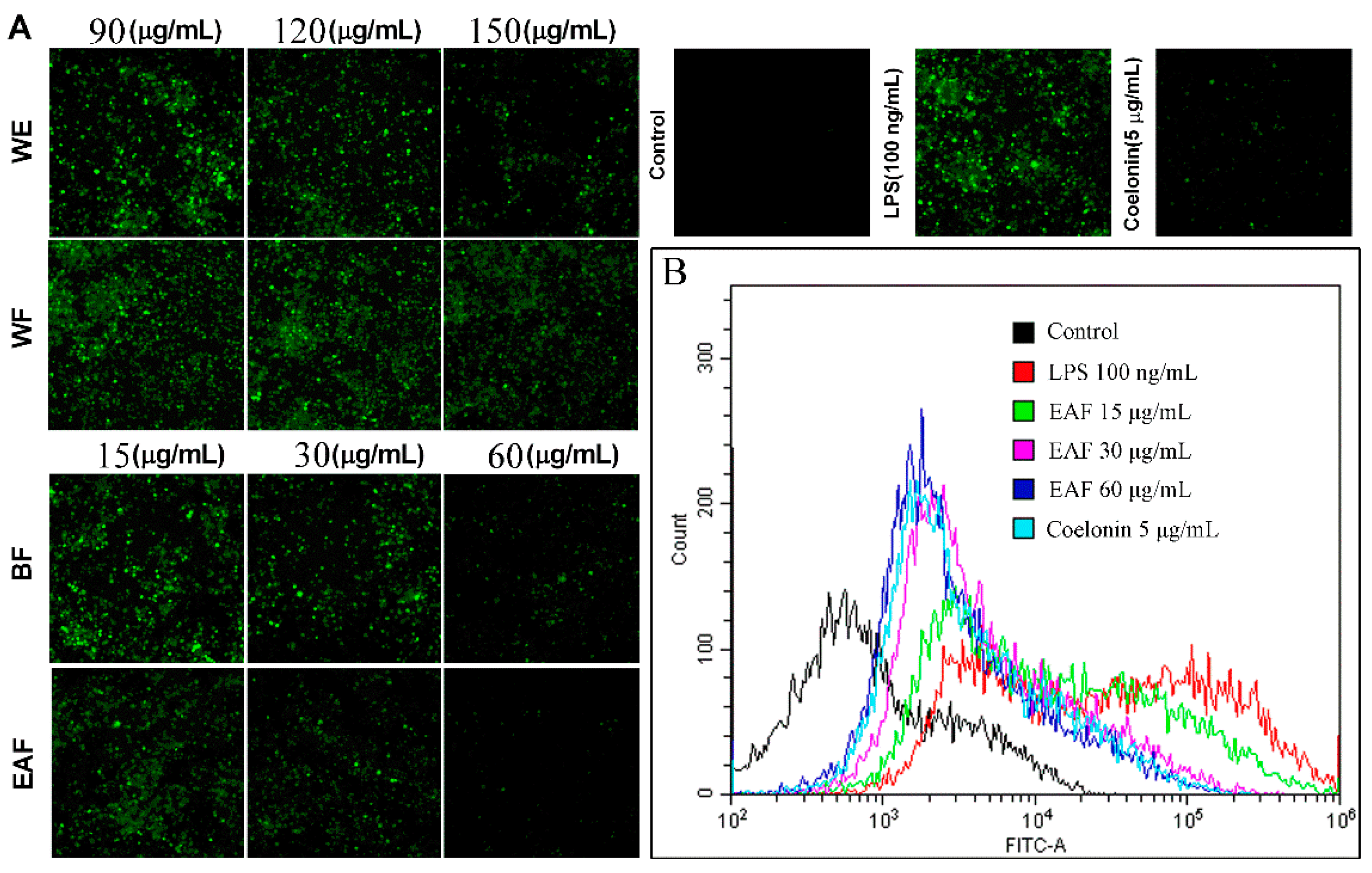 Molecules 29 01375 g006