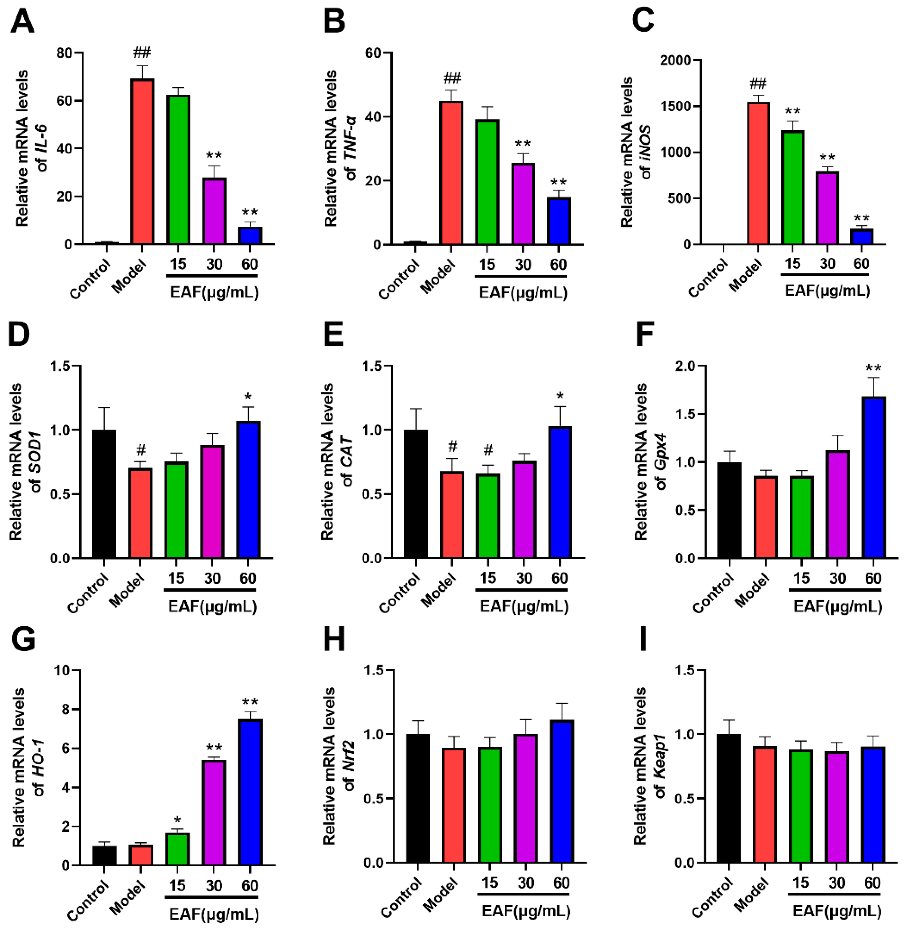Molecules 29 01375 g007