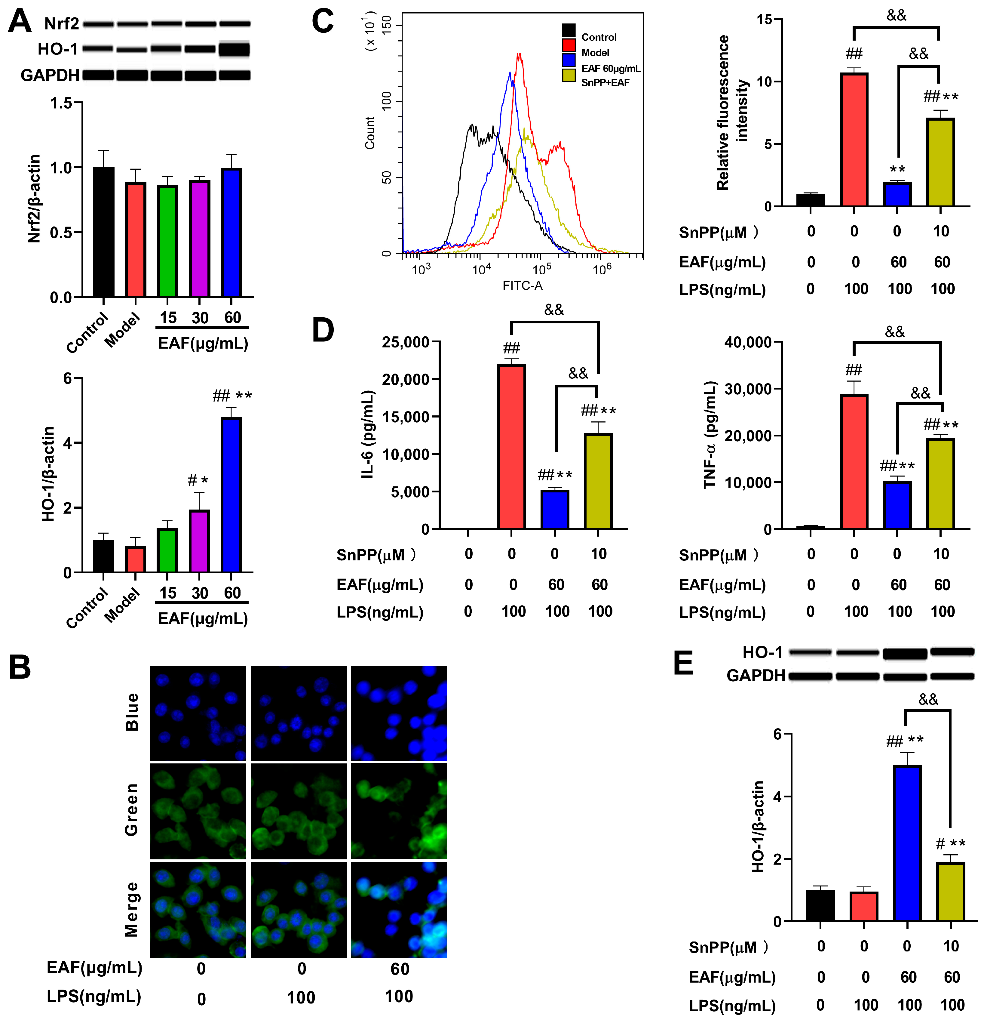Molecules 29 01375 g008