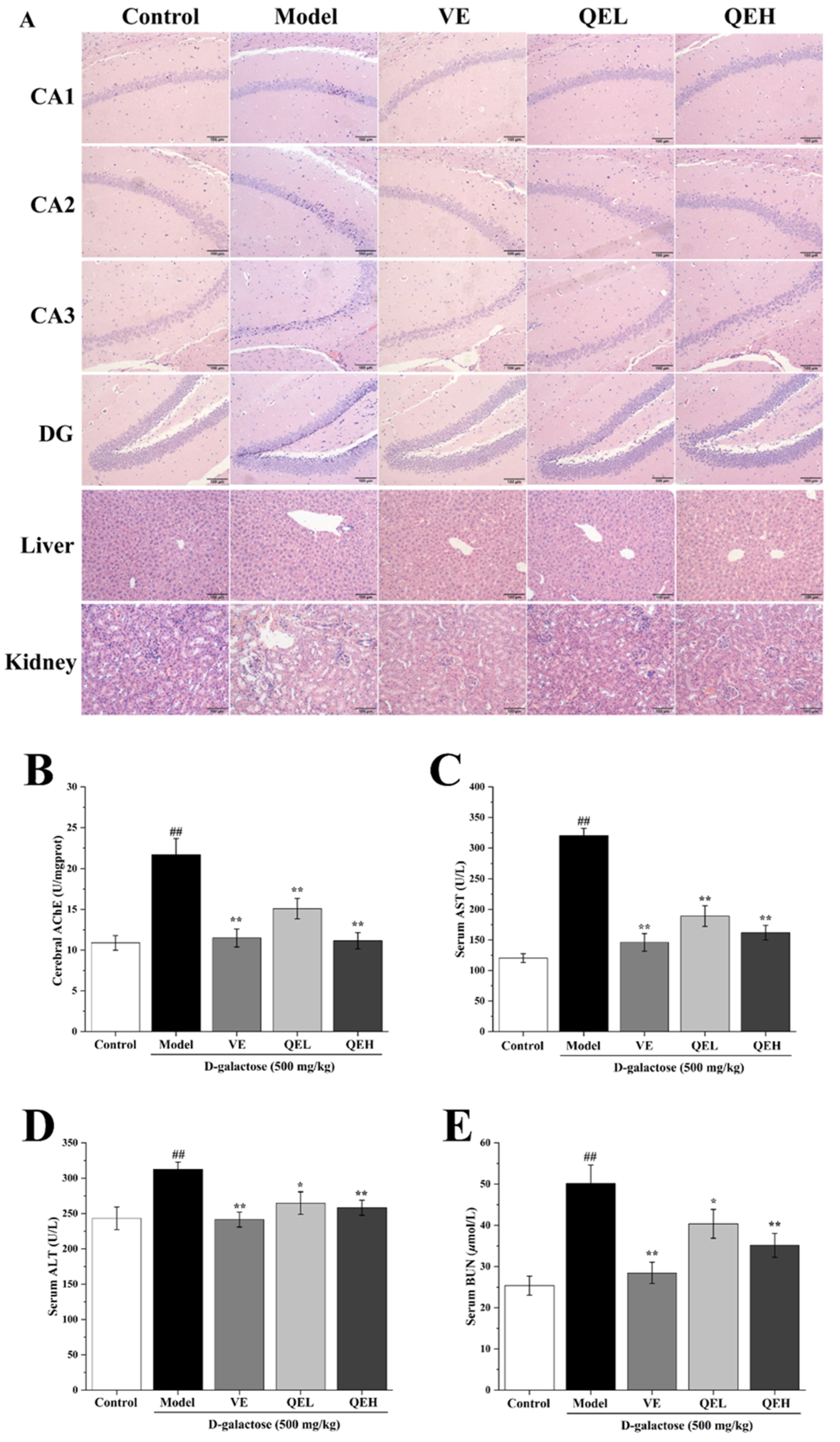 Molecules 29 01384 g002